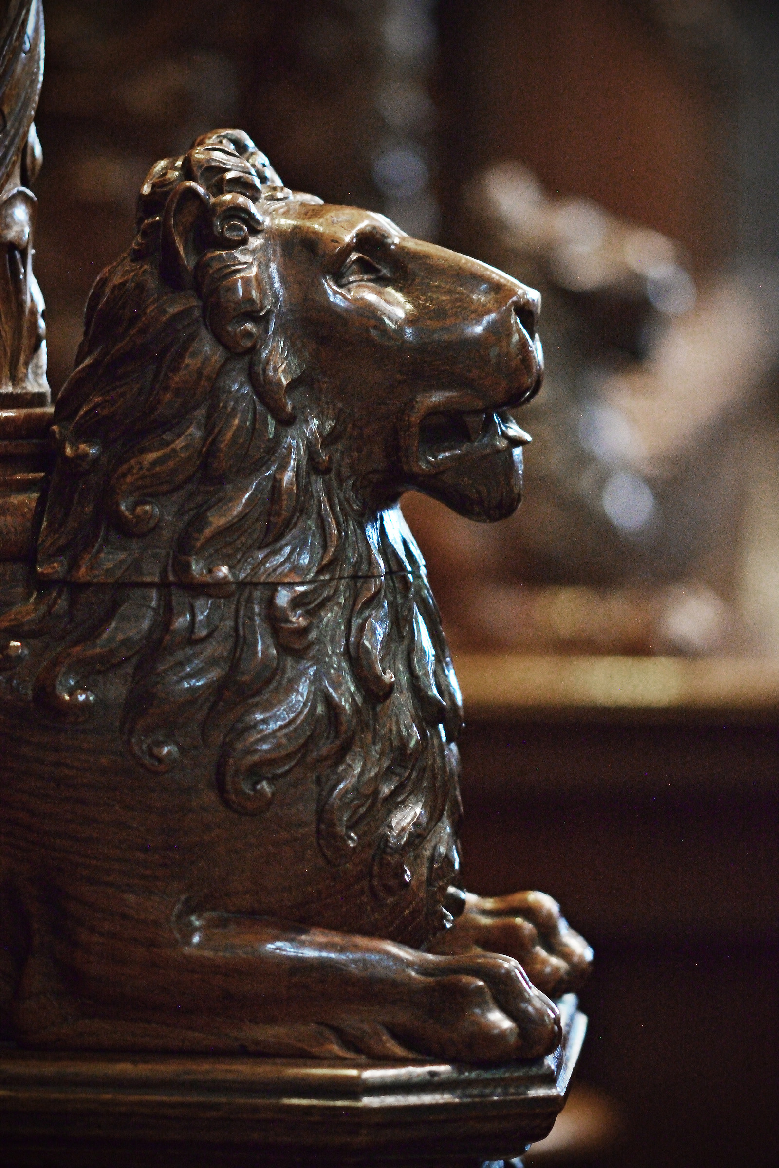 Beautiful Medieval Carved Oak Lions (in the cathedral)