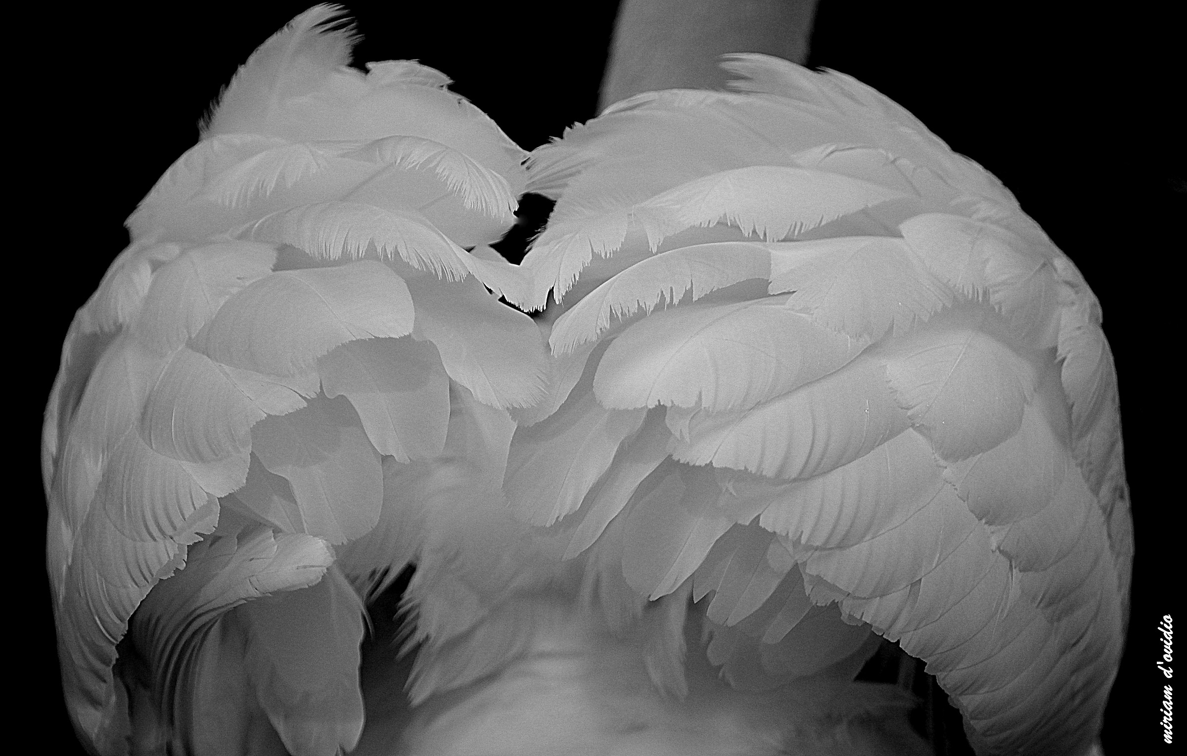 soft moments of light