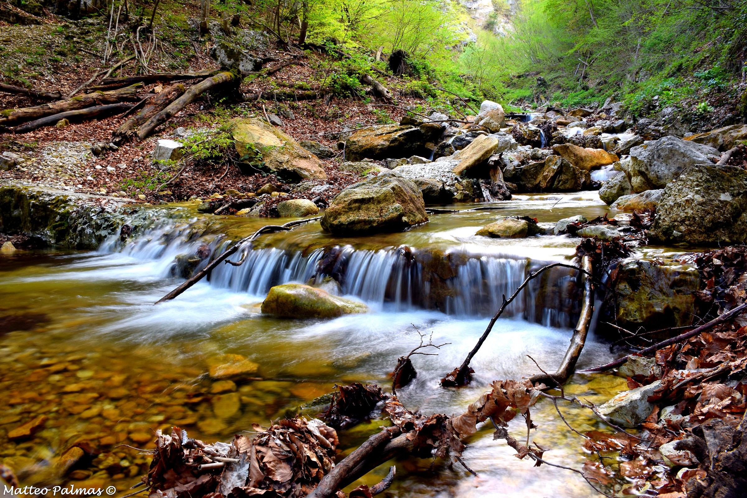 Torrente Vesola