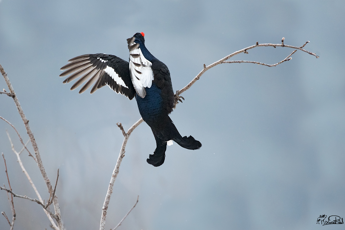 we hope that can withstand!