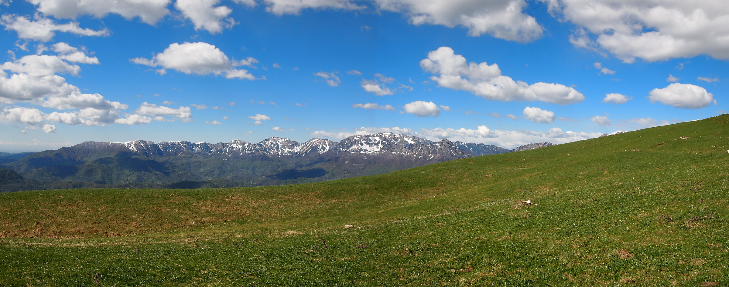 Meadows going up to Monte Ward 1