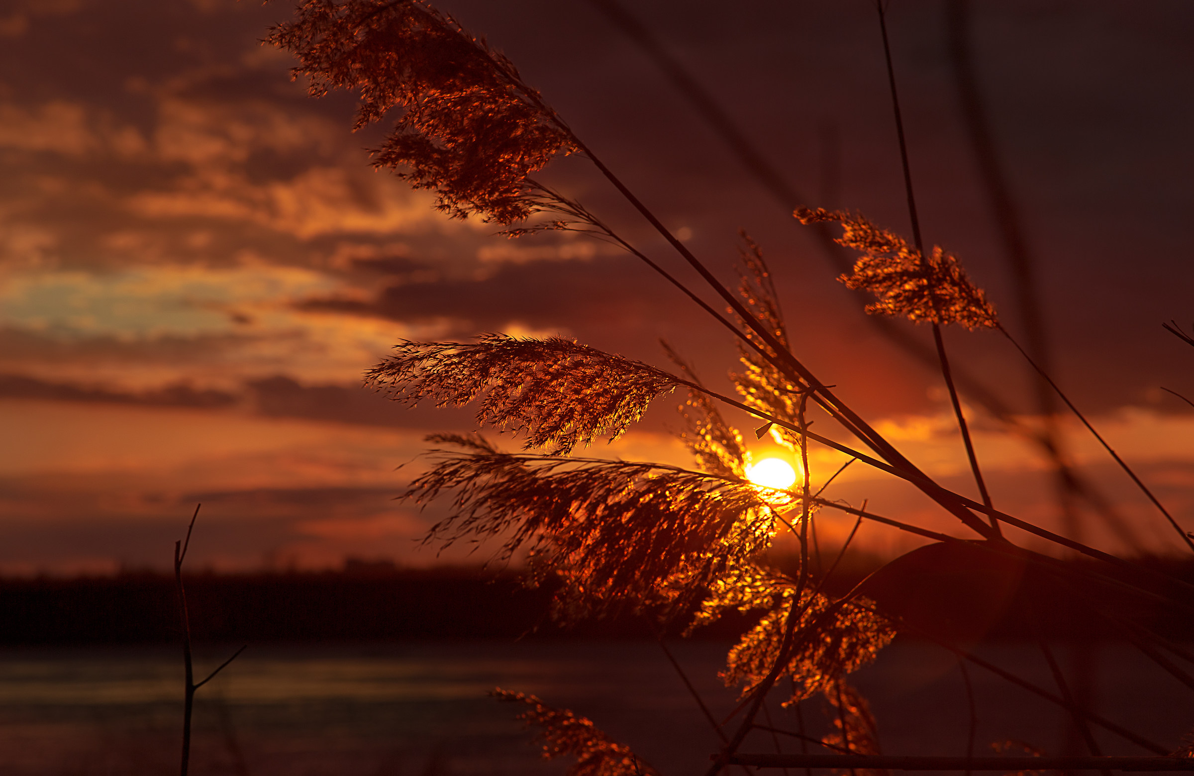 The warm evening light