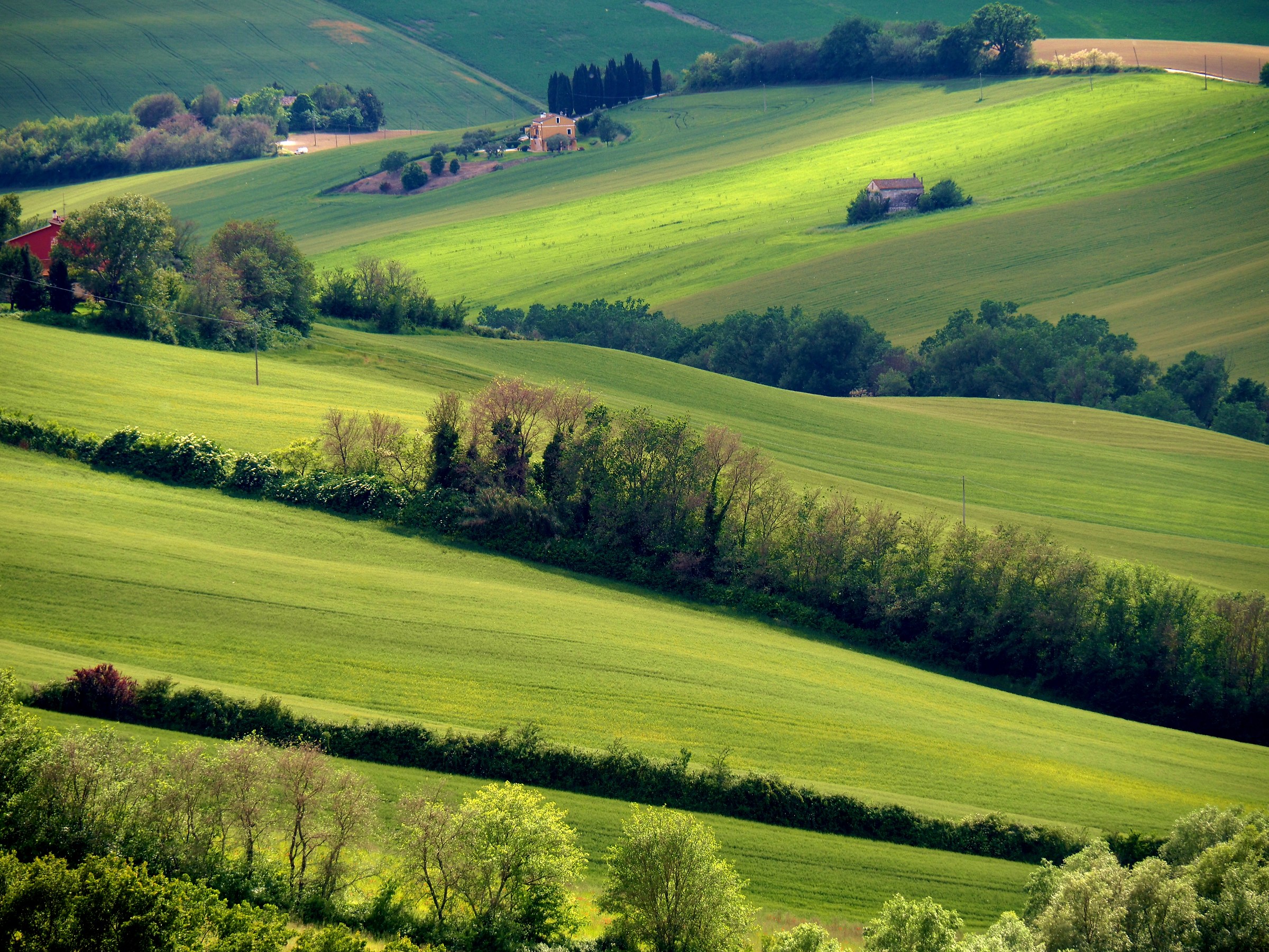 campagna di Montelupone (mc)