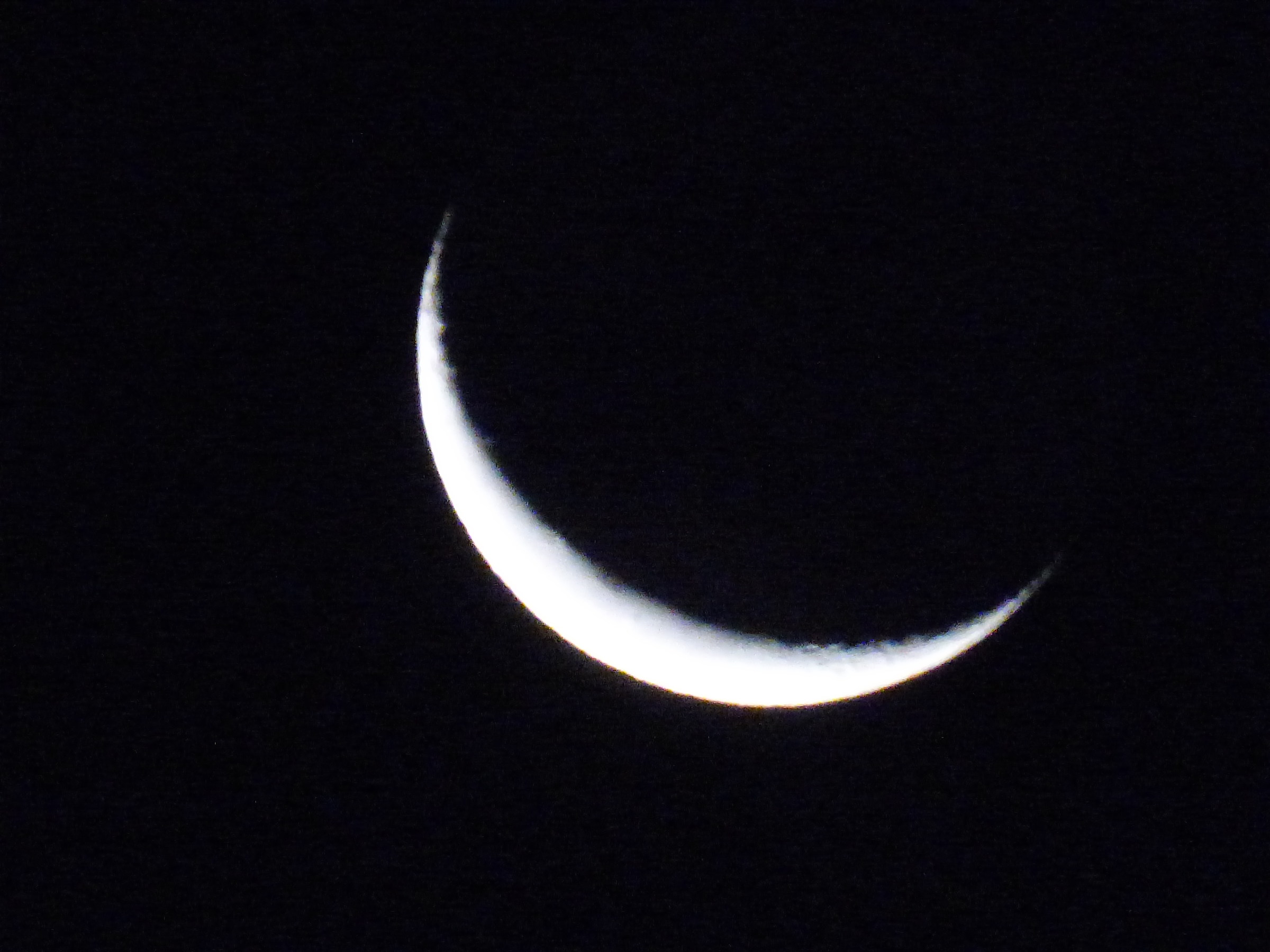 11 Nights after the August Full Moon