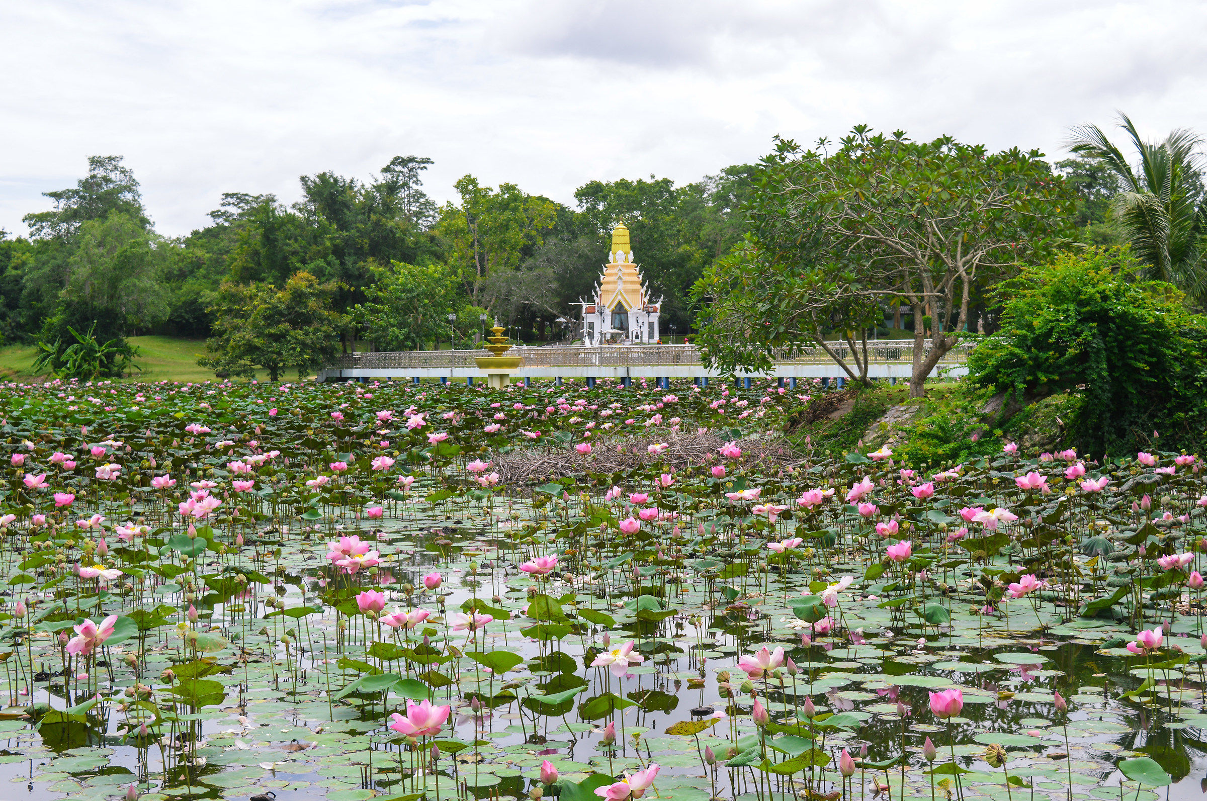 Vicino "The Sanctuary of Truth" (Pattaya)