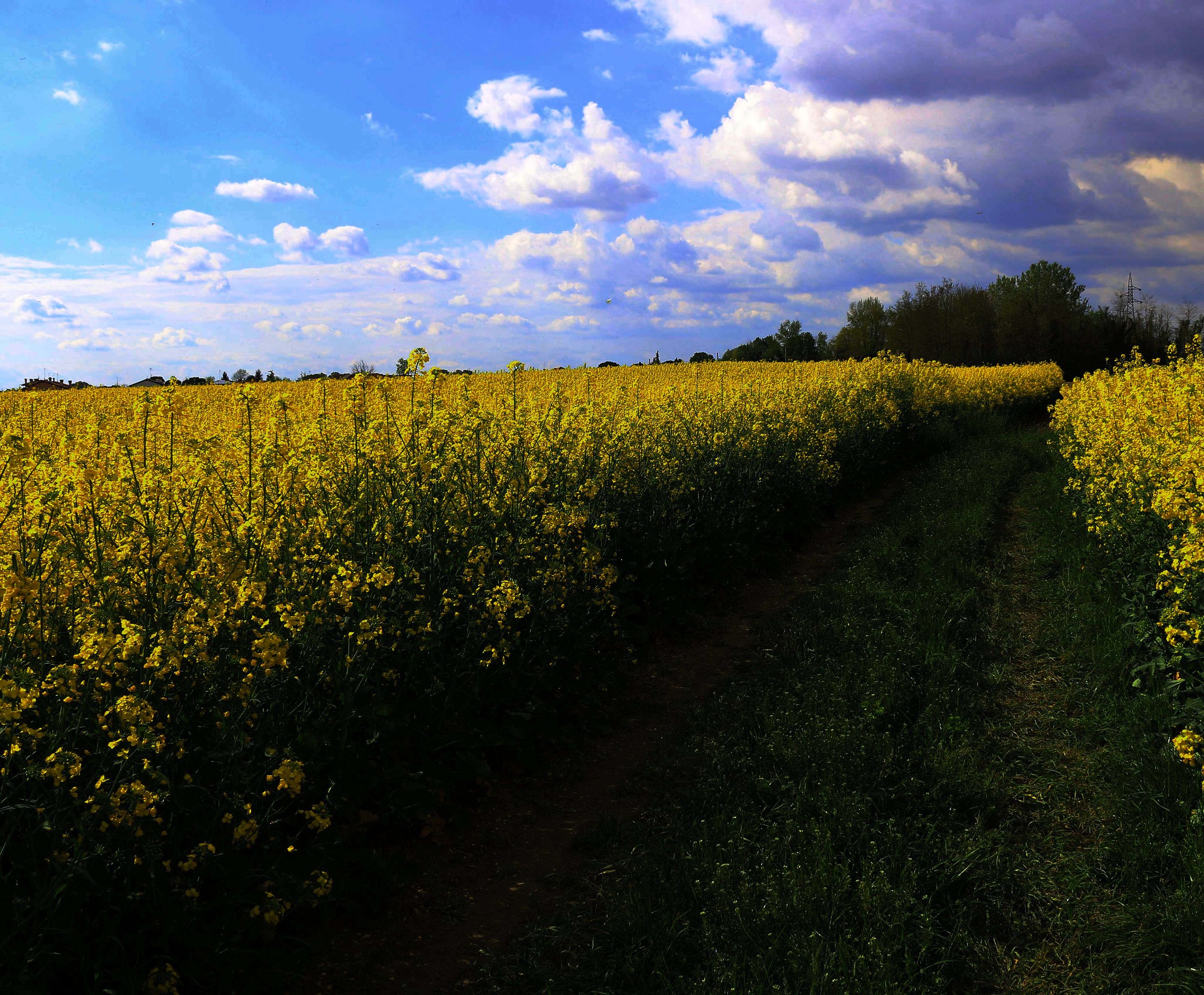 In the middle of fields
