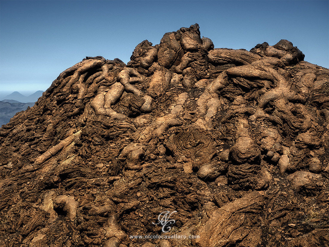 Upstream of the dead