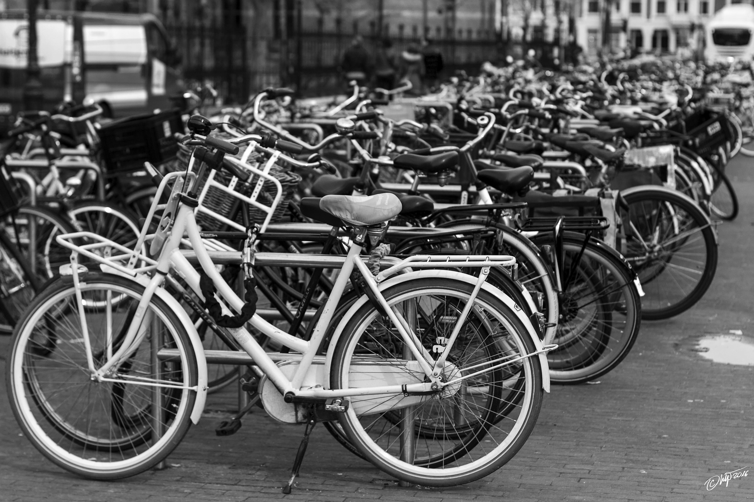 Bici, bici e ancora bici