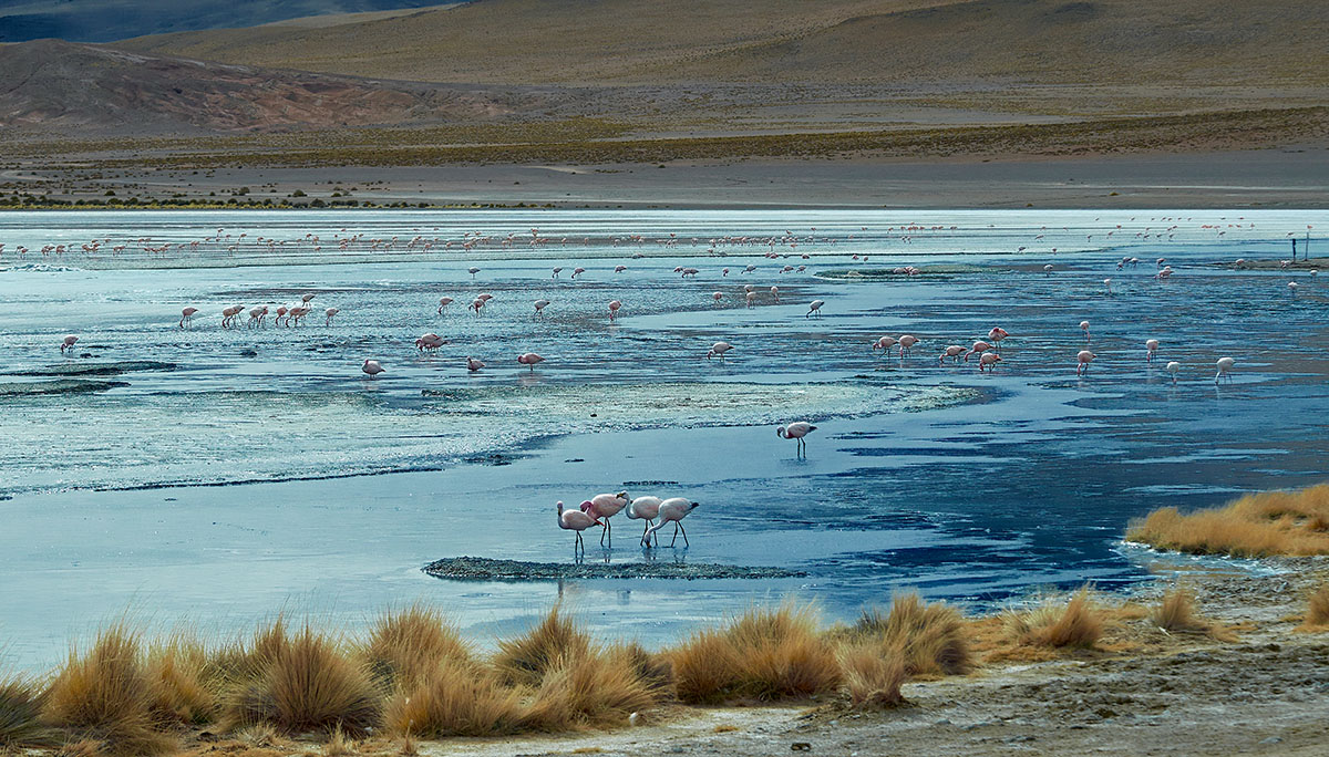 laguna honda 2 Bolivia
