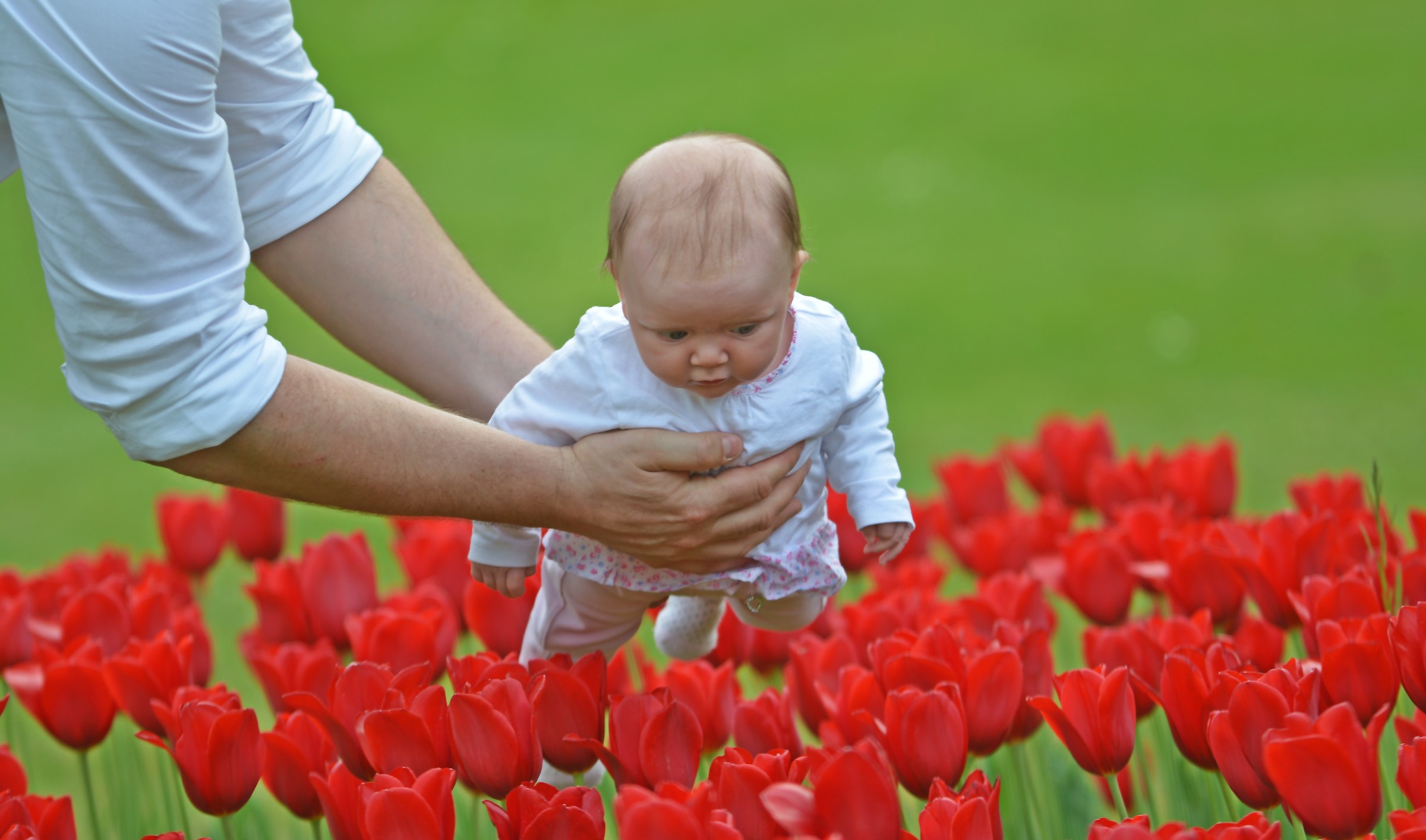 Fly between your dreams fly