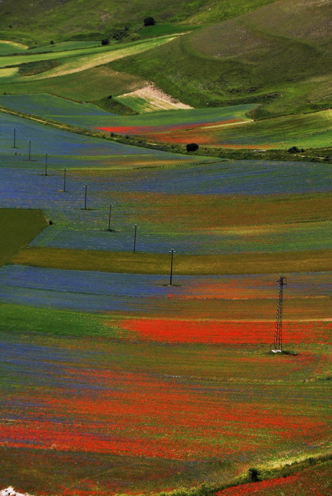 Piana di Castelluccio