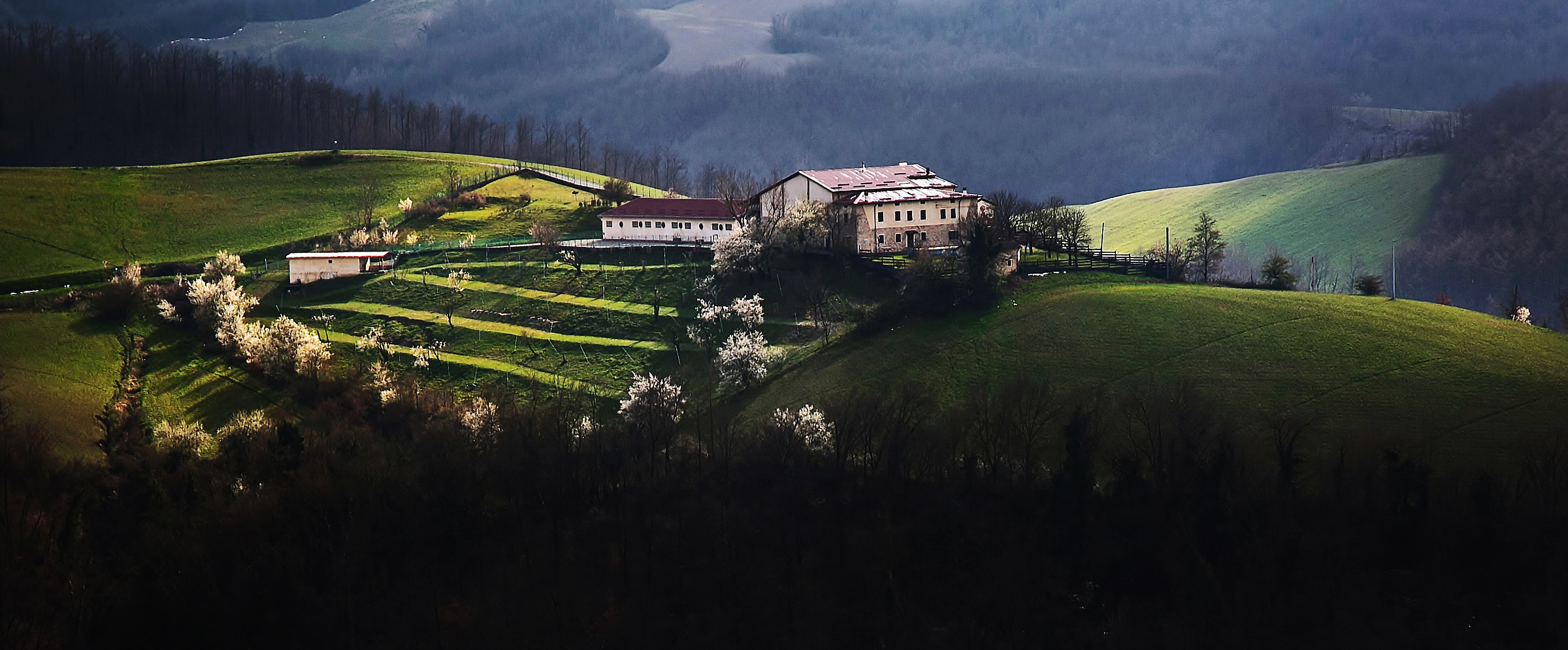 nella vecchia fattoria.....