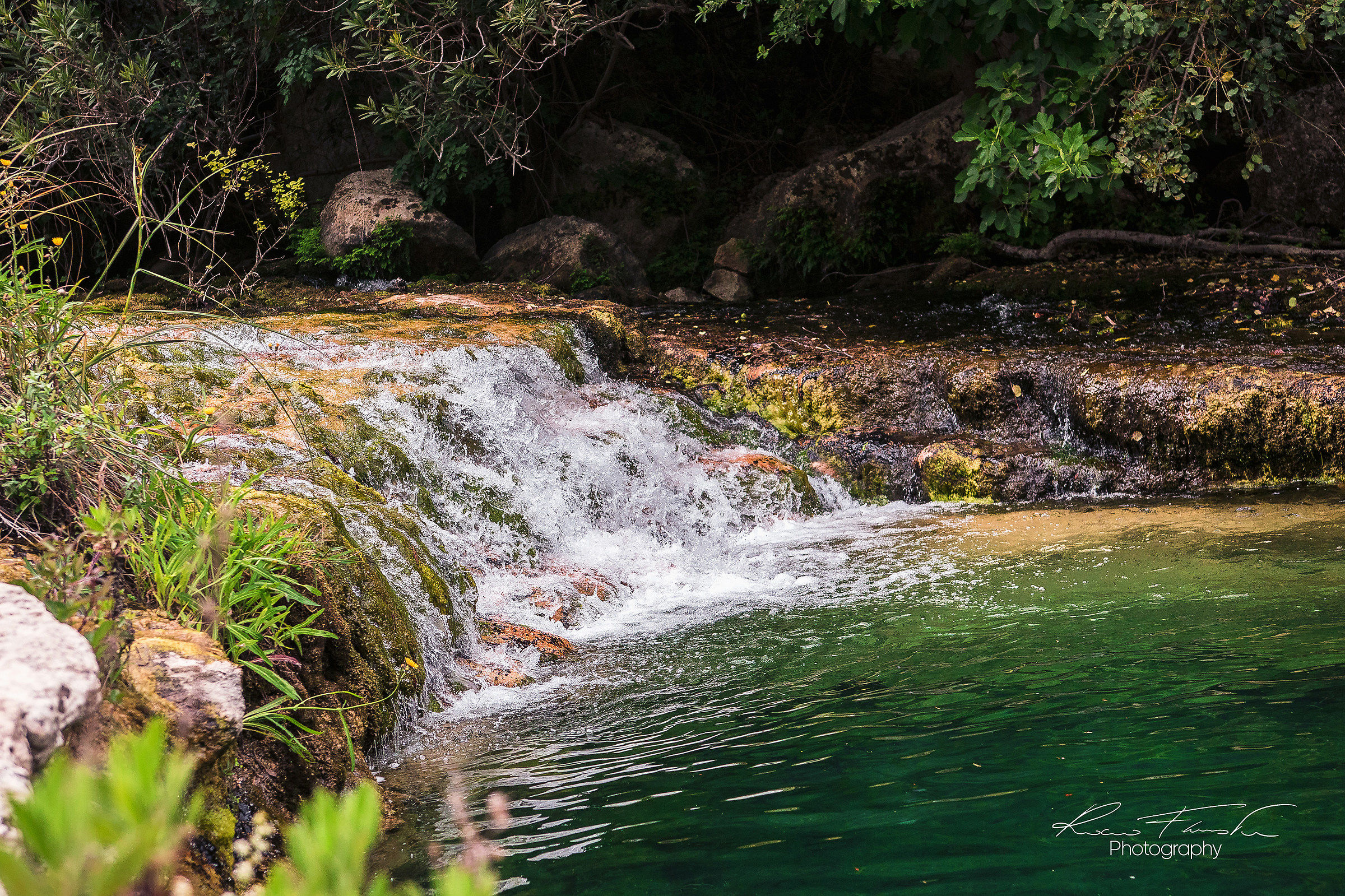 Pace - Cavagrande del Cassibile, Avola
