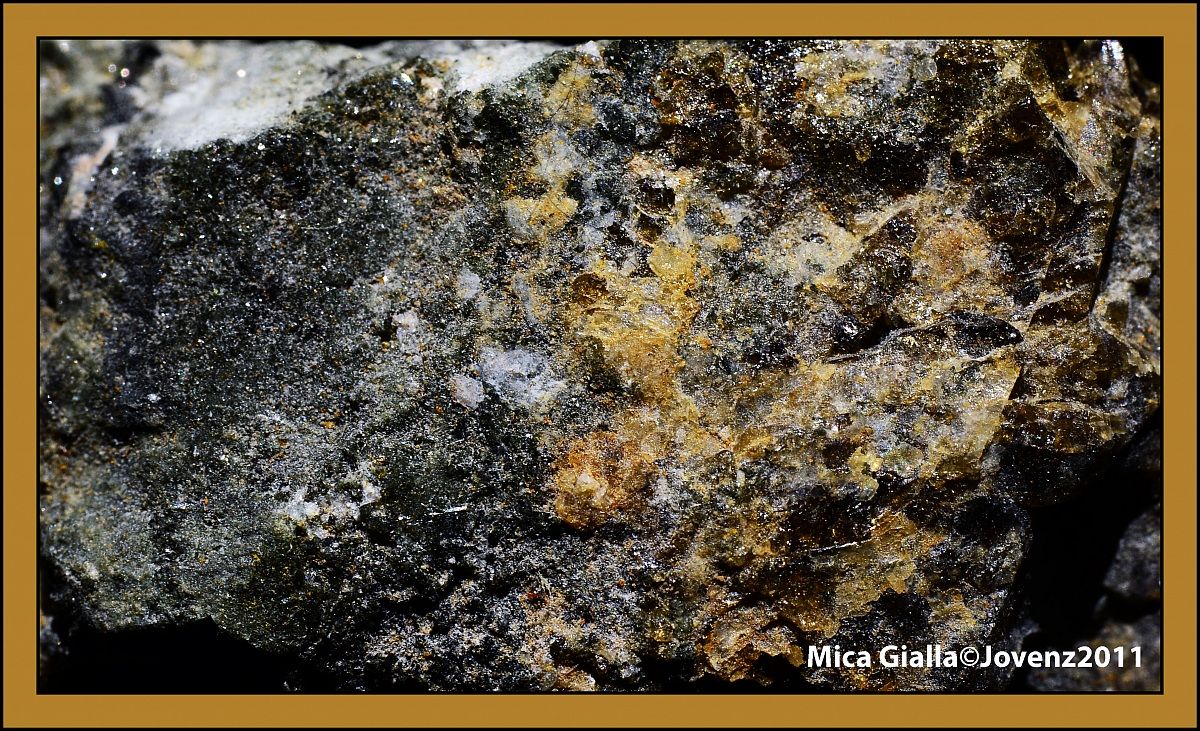 Mica gialla : minerale del gruppo dei silicati