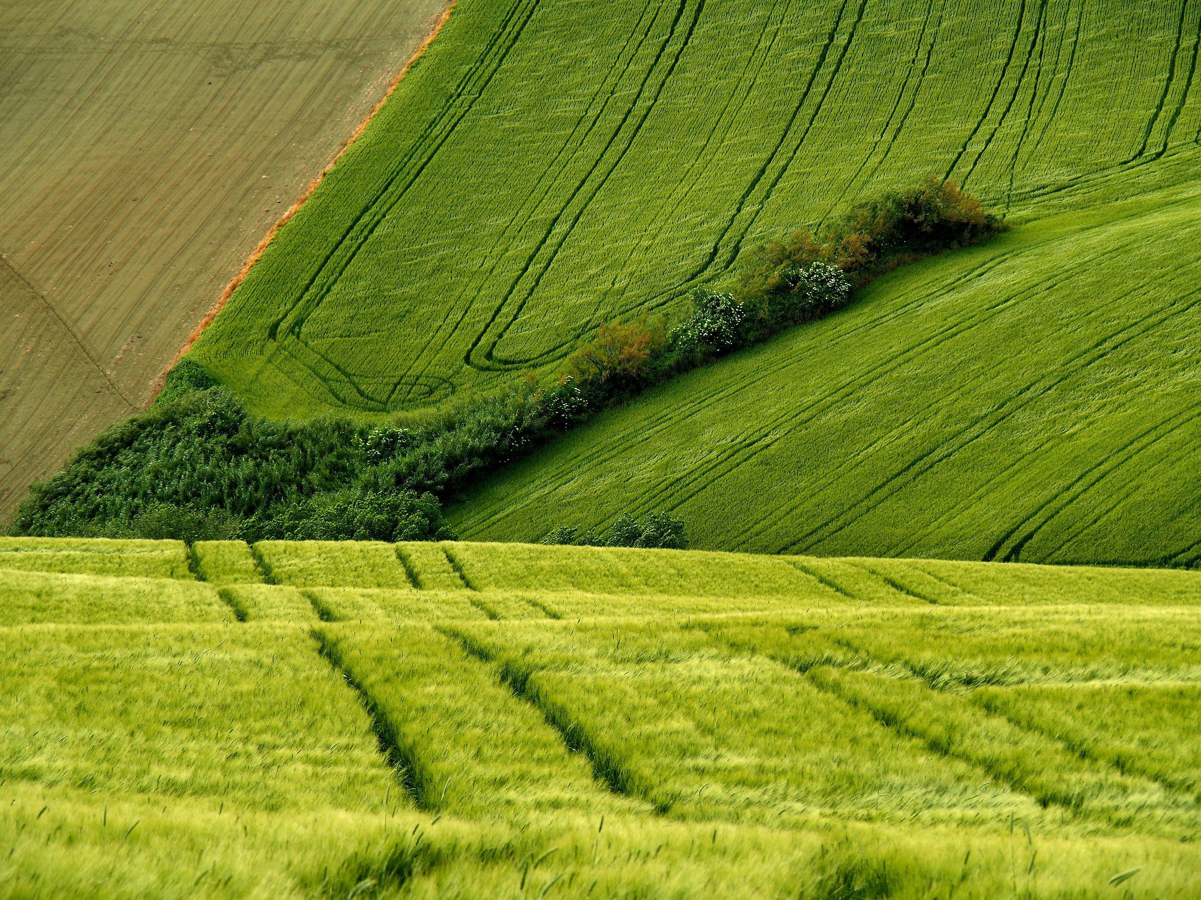 geometrie della natura