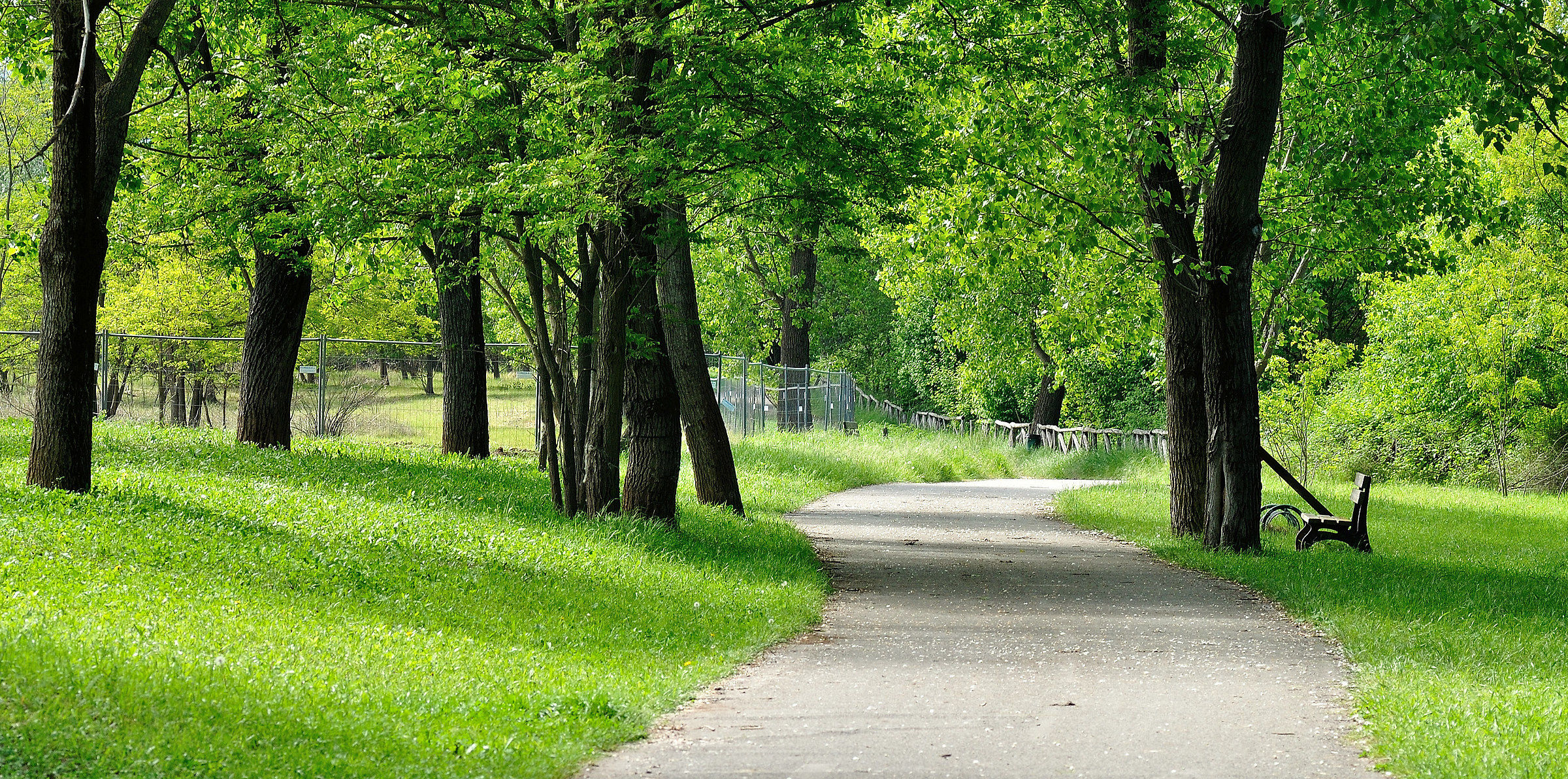 Parco Fluviale Ilenia Giusti (to)