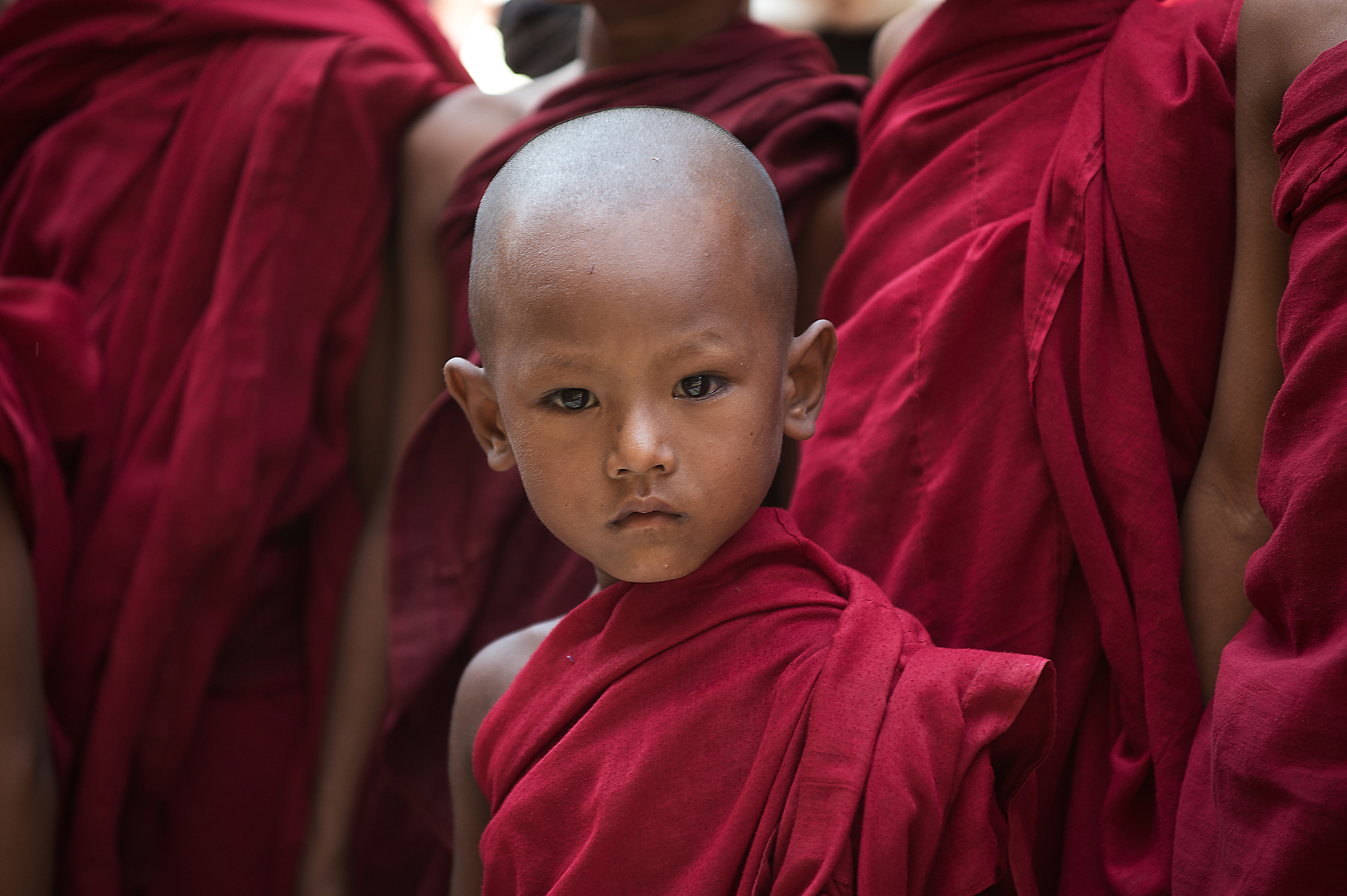 The young monk
