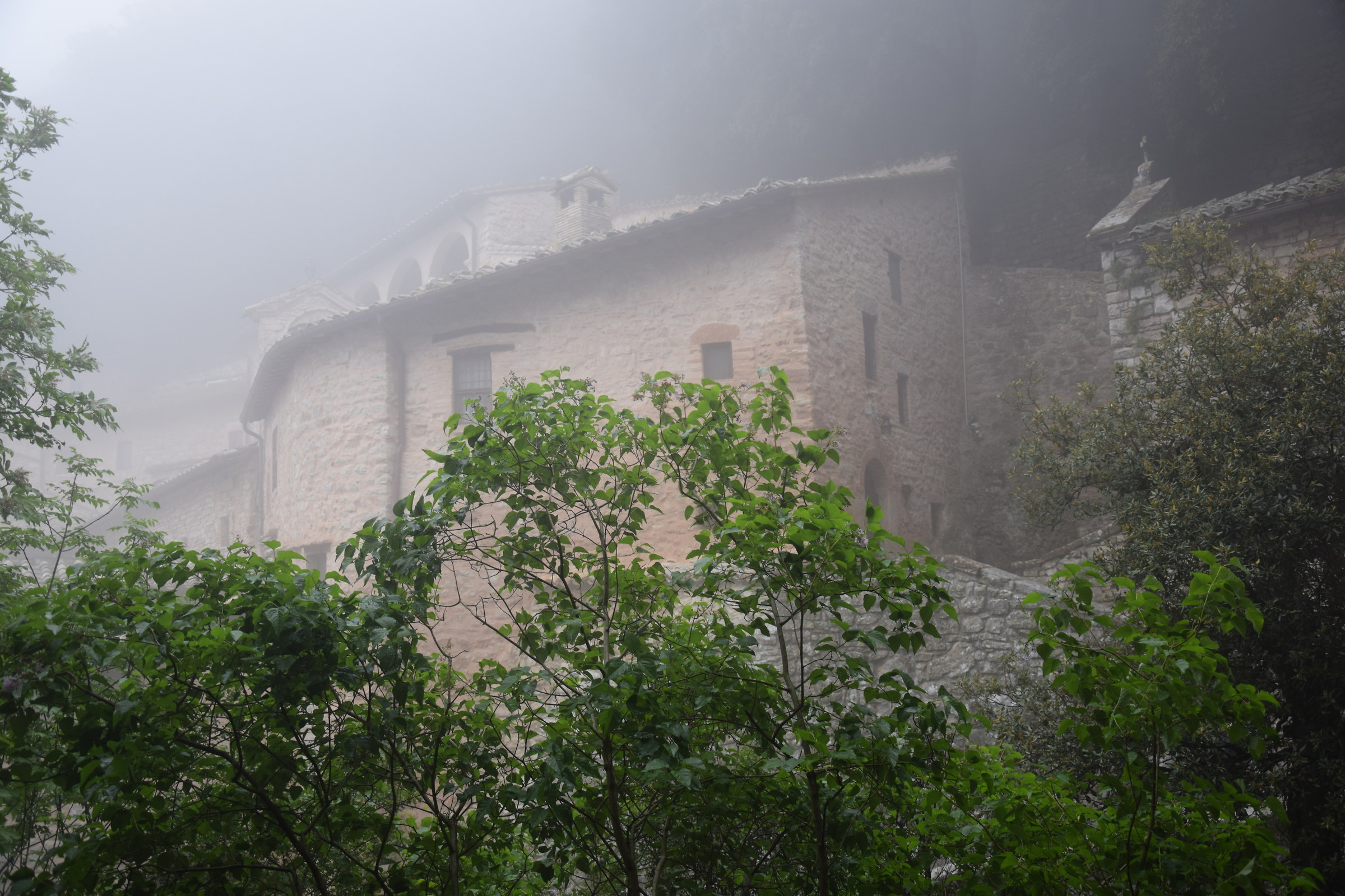 Eremo nella nebbia