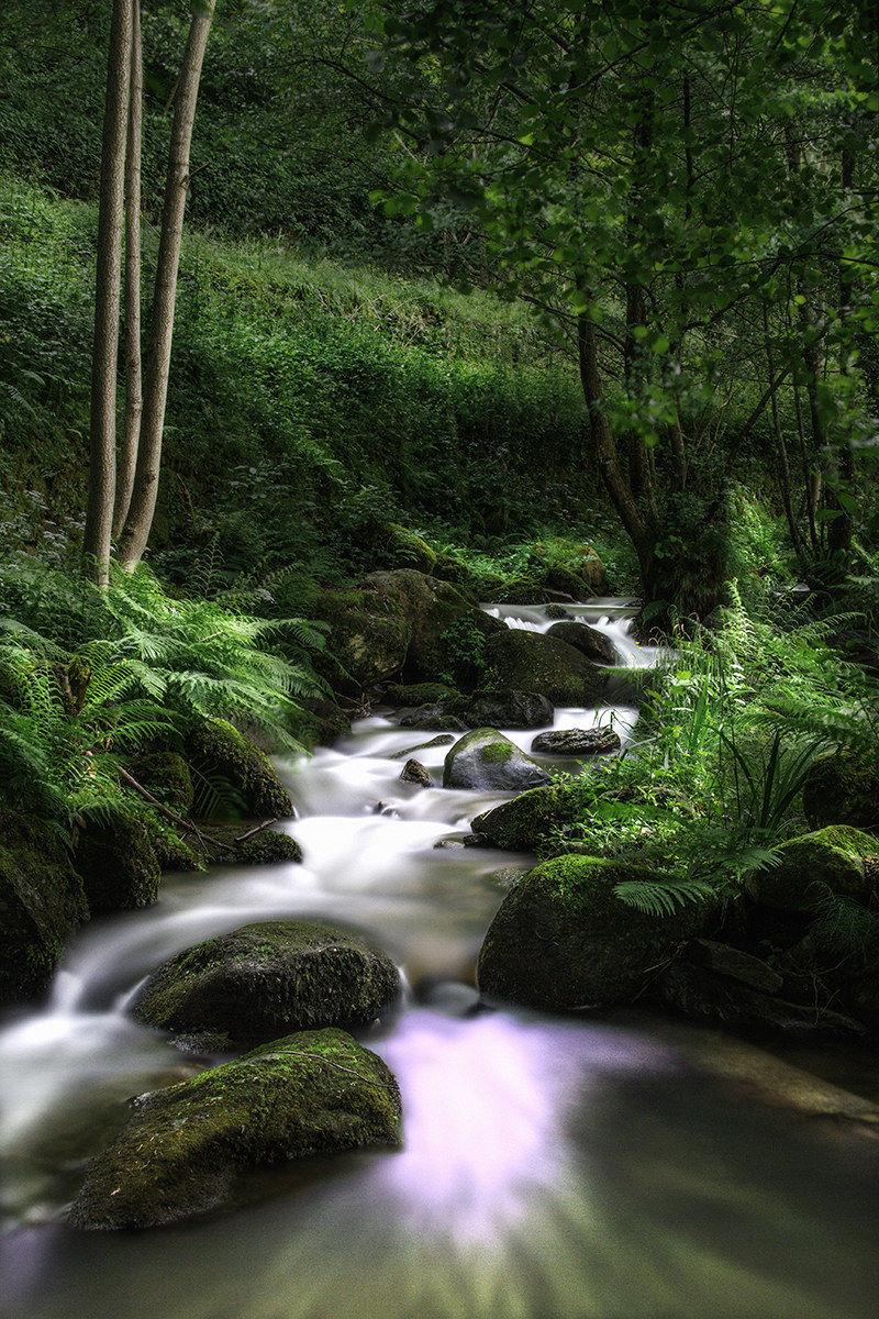 ... Rio Visona 2 ...