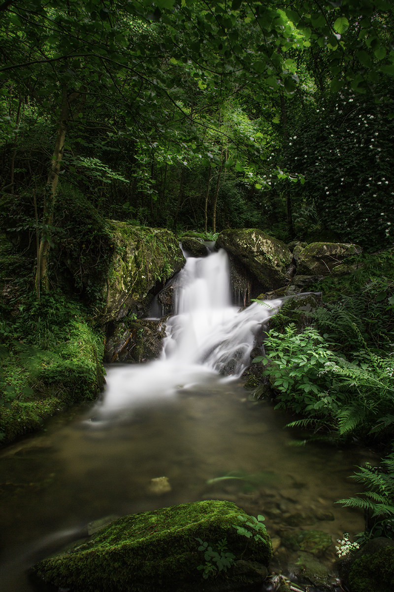 ... Rio Visona 3 ...