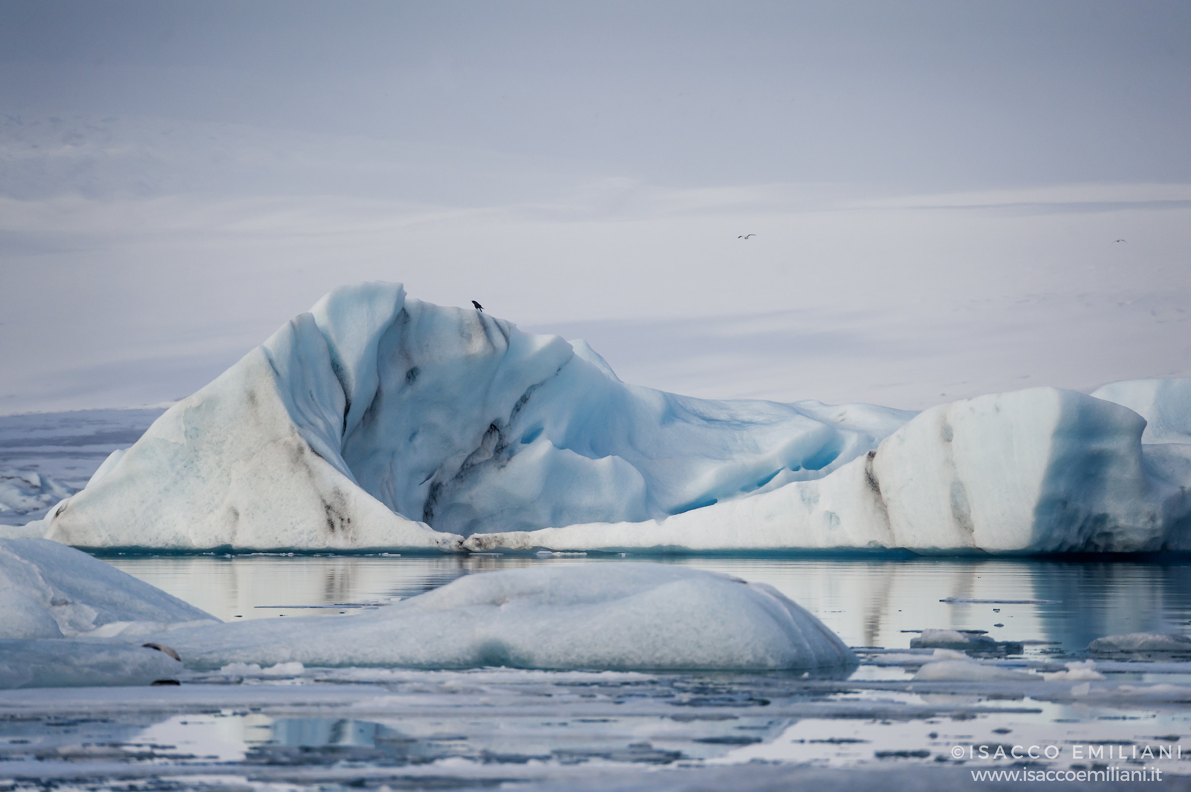 Al ghiacciaio Jokulsarlon