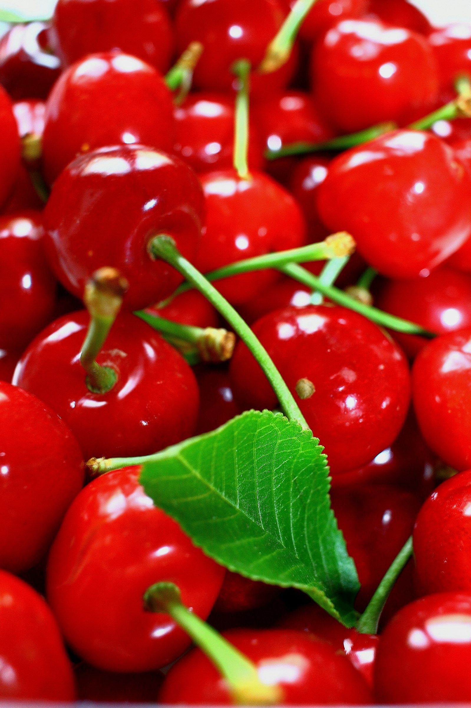 Cherry