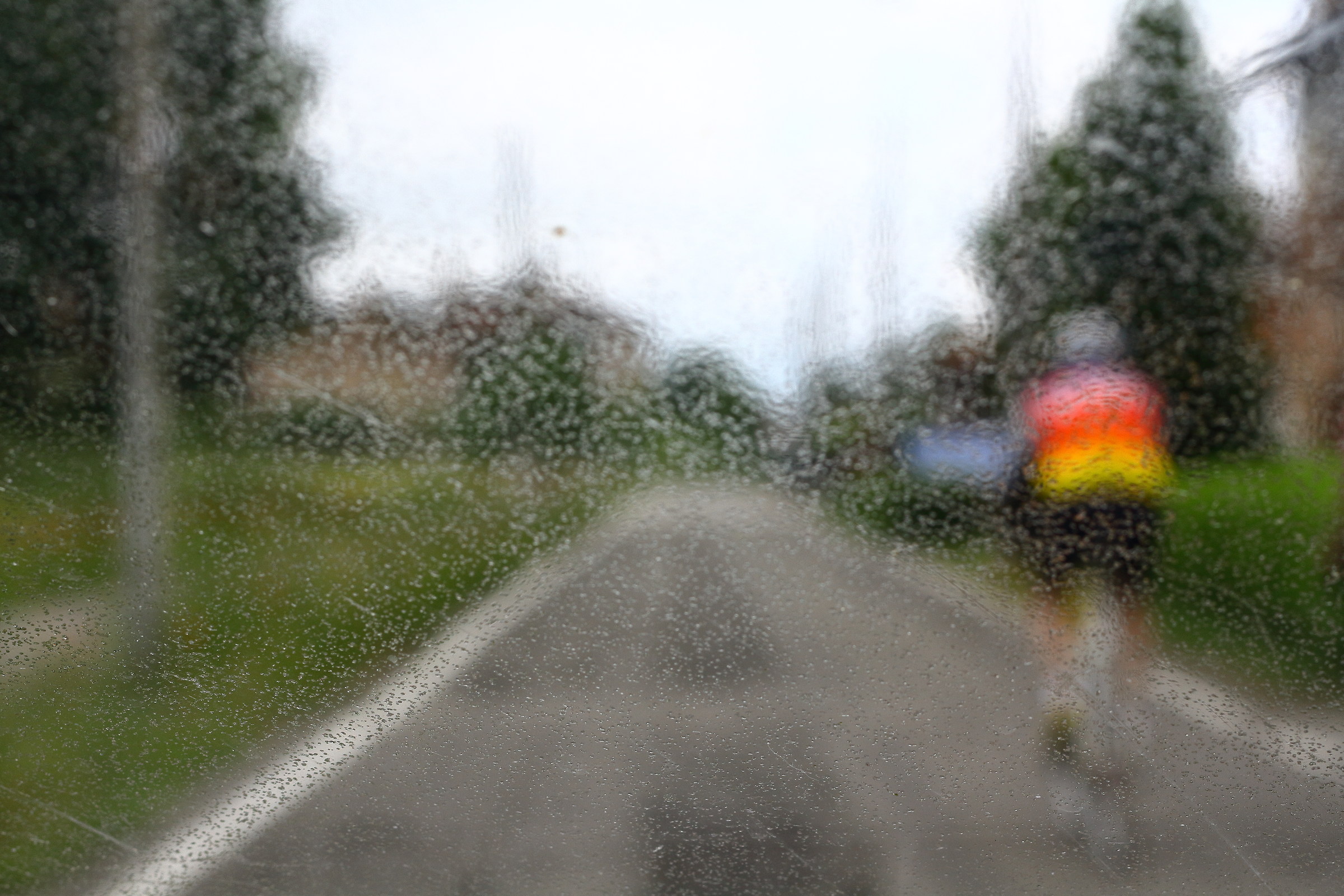 Resina su parabrezza