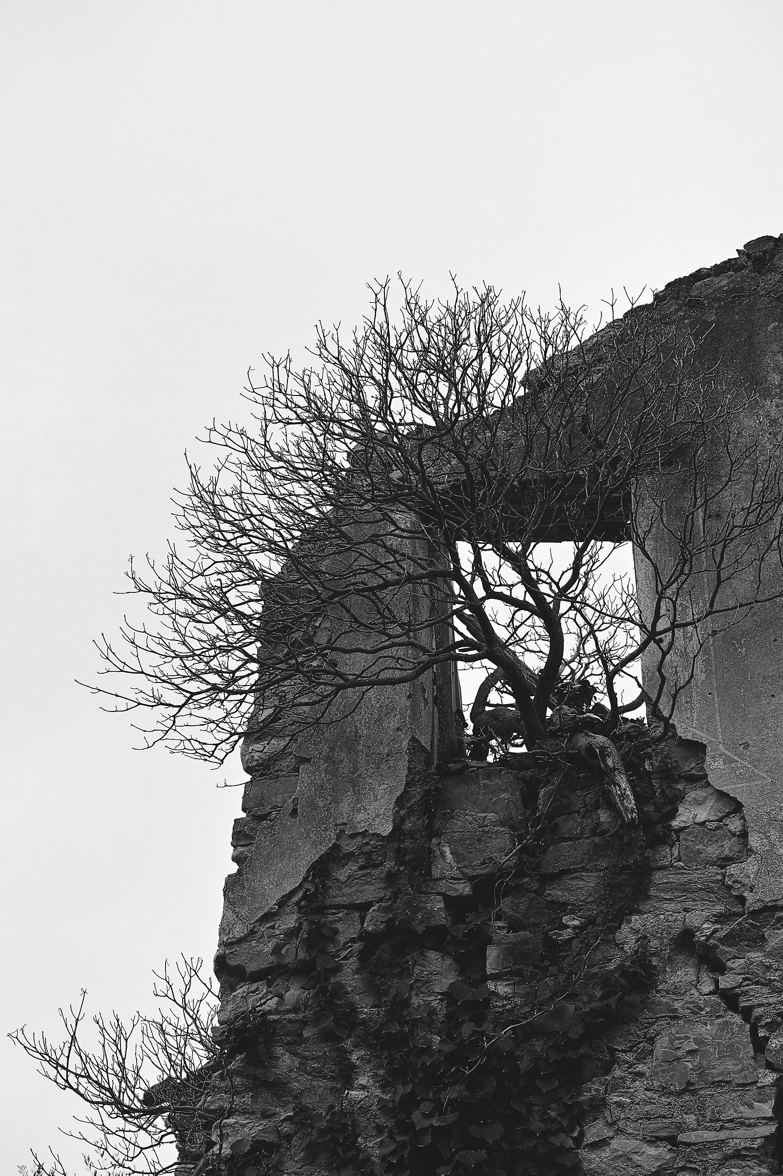 Crocevia di anime. 008