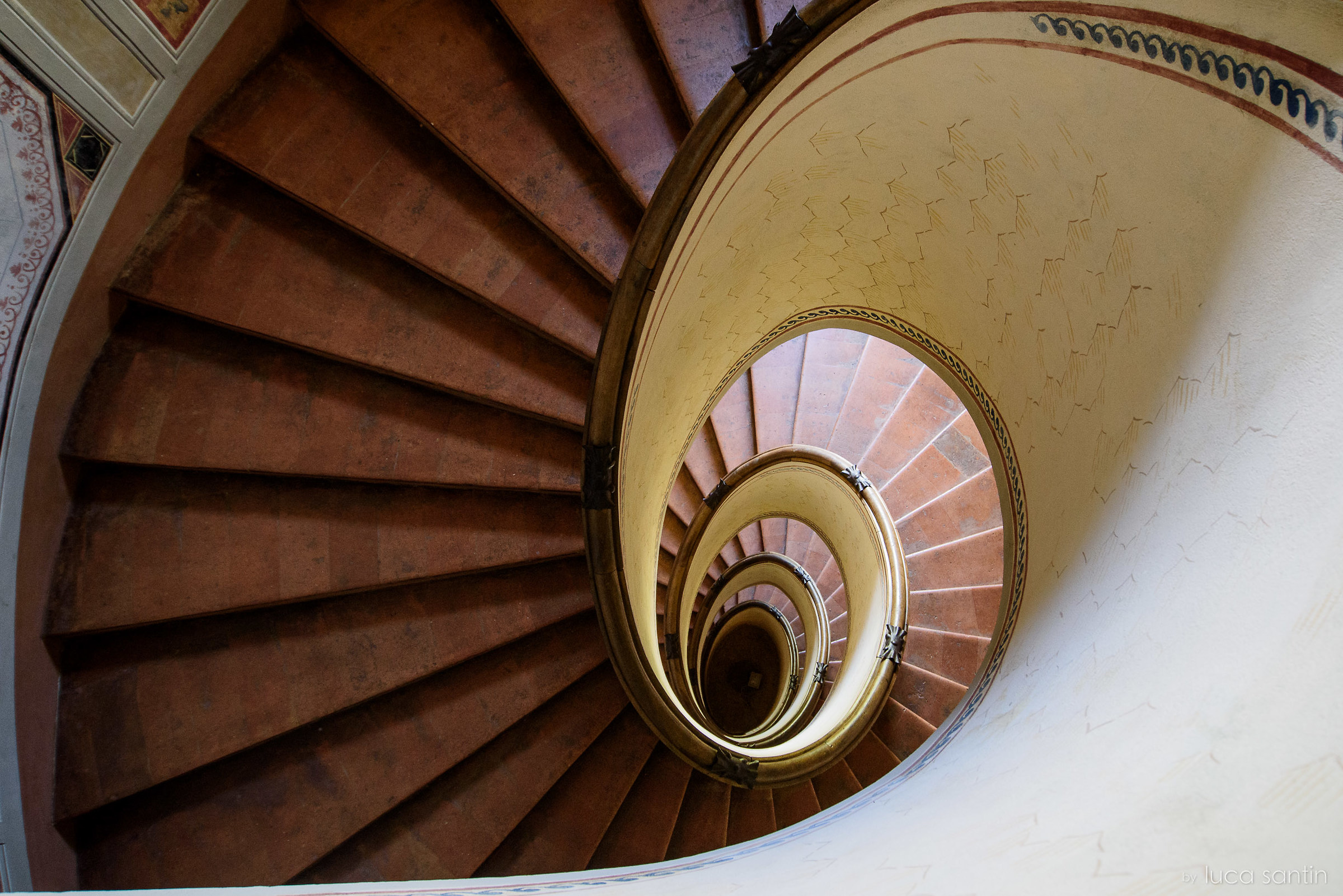 Chiocciola Vignolese 2