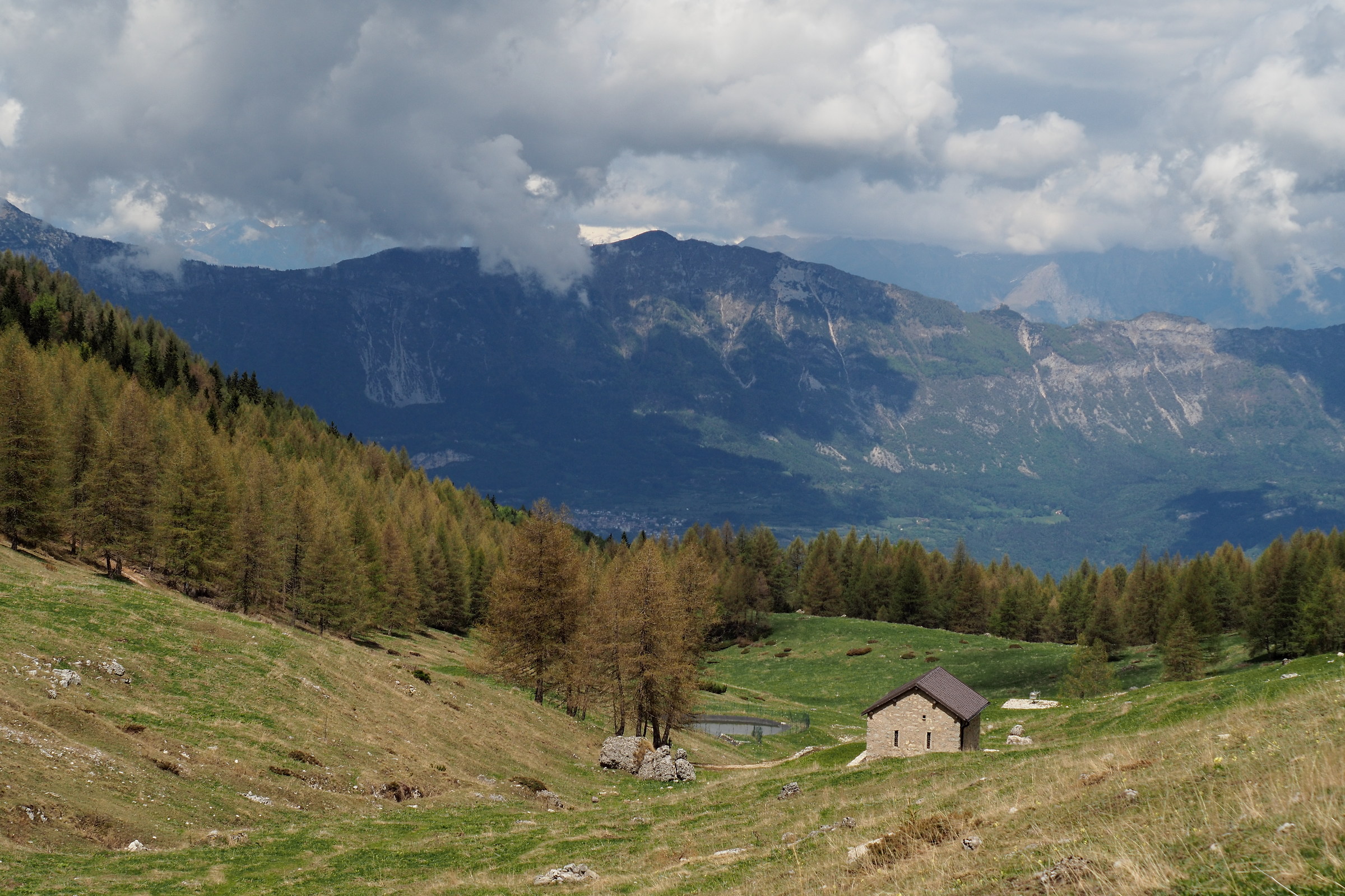 Pasture of Malga Zocchi