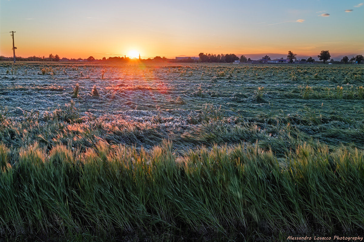 Il campo dopo la tempesta