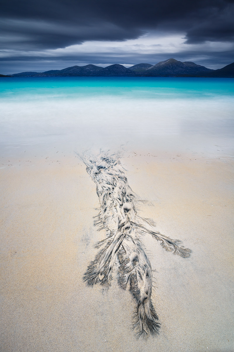 creatures of the deep