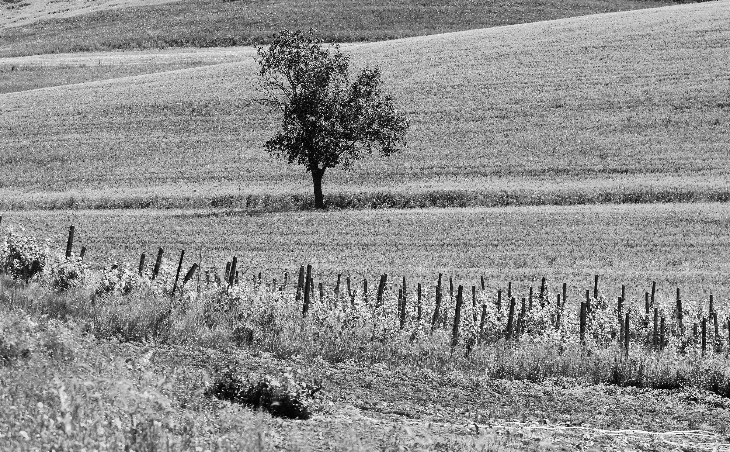 E lo sguardo si perde