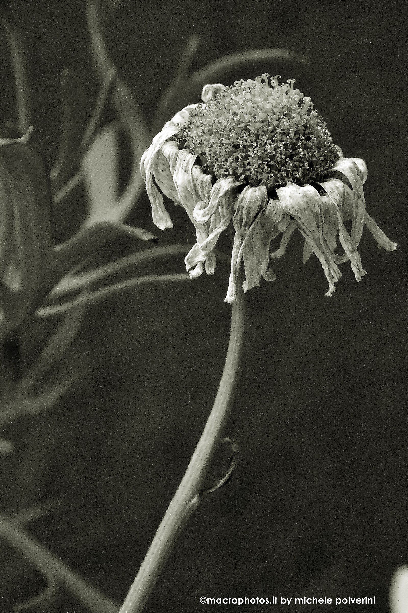 Hey ........ it was' !!!!