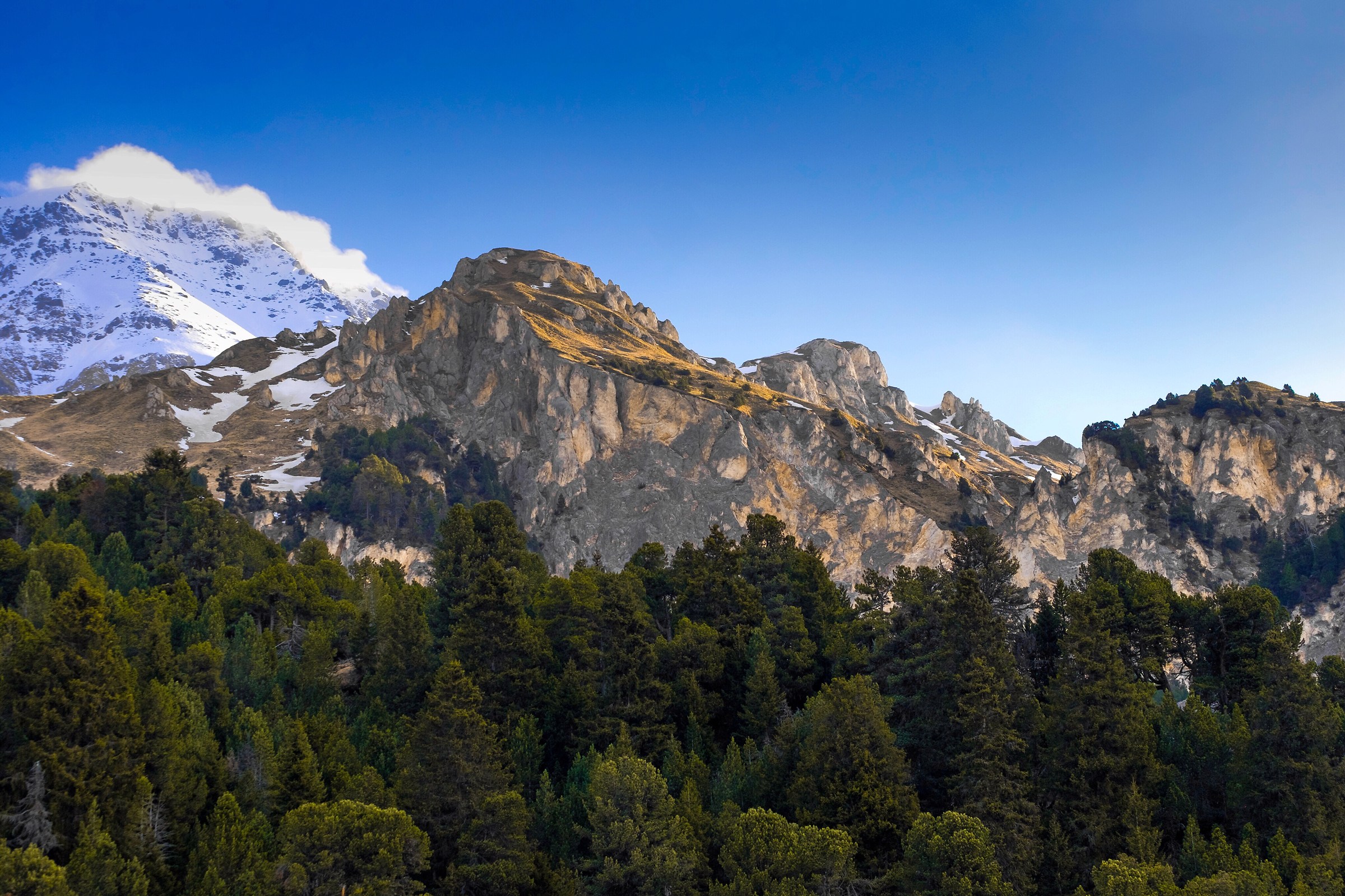 A golden lawn during the golden hour