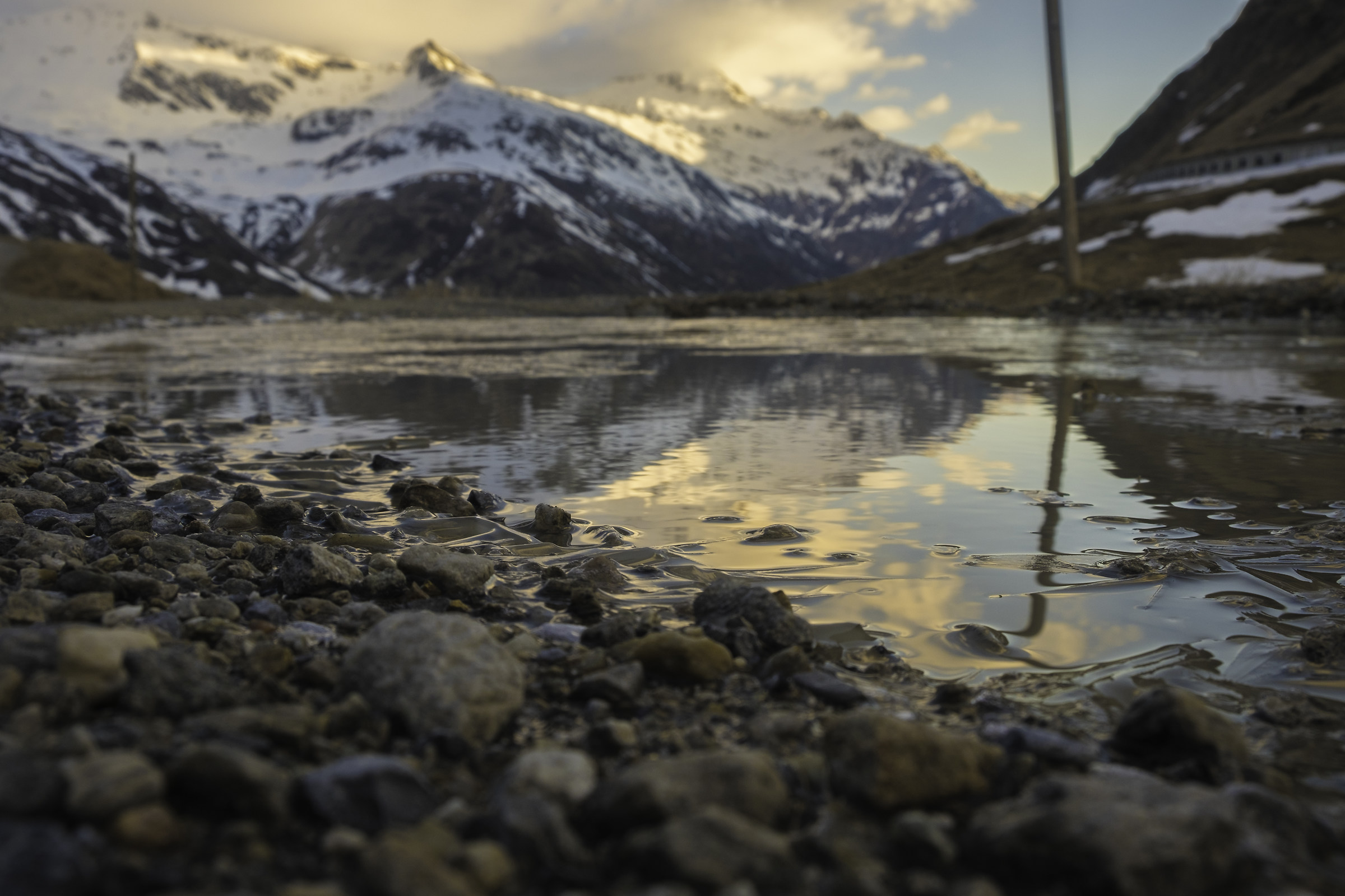 Early morning reflections