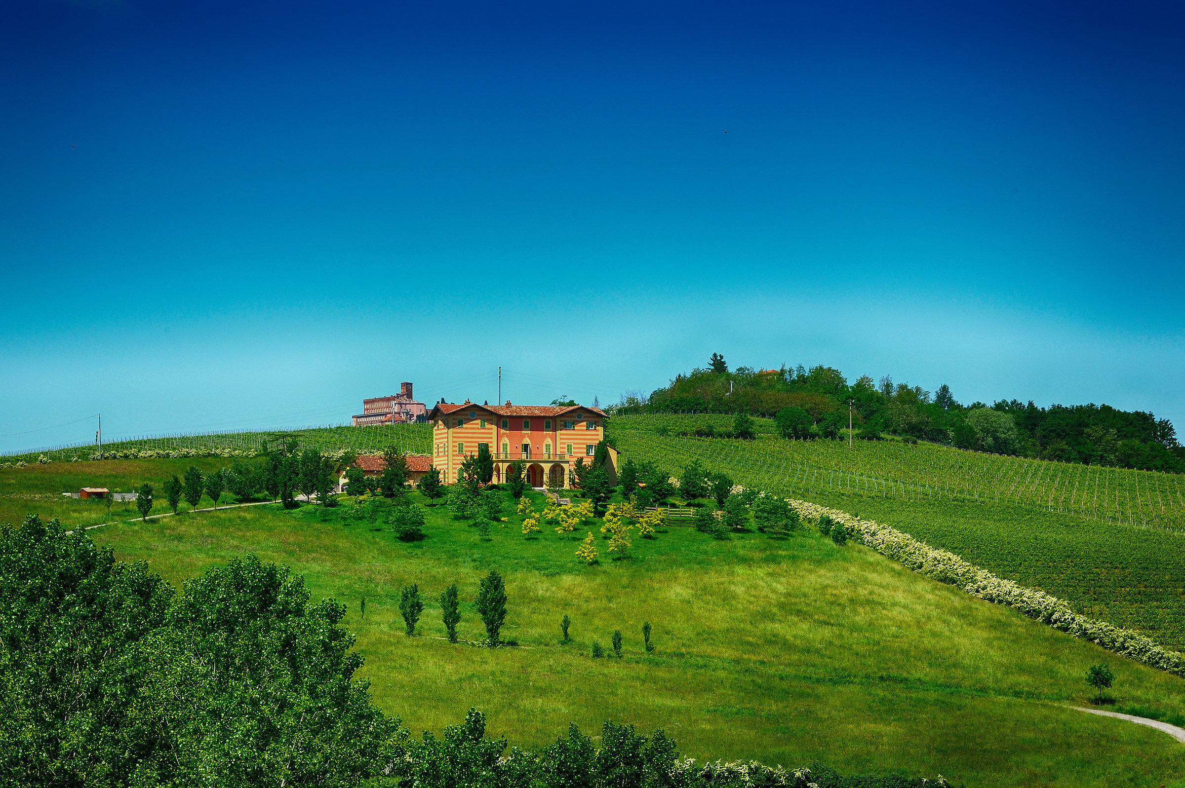 Colline del Monferrato
