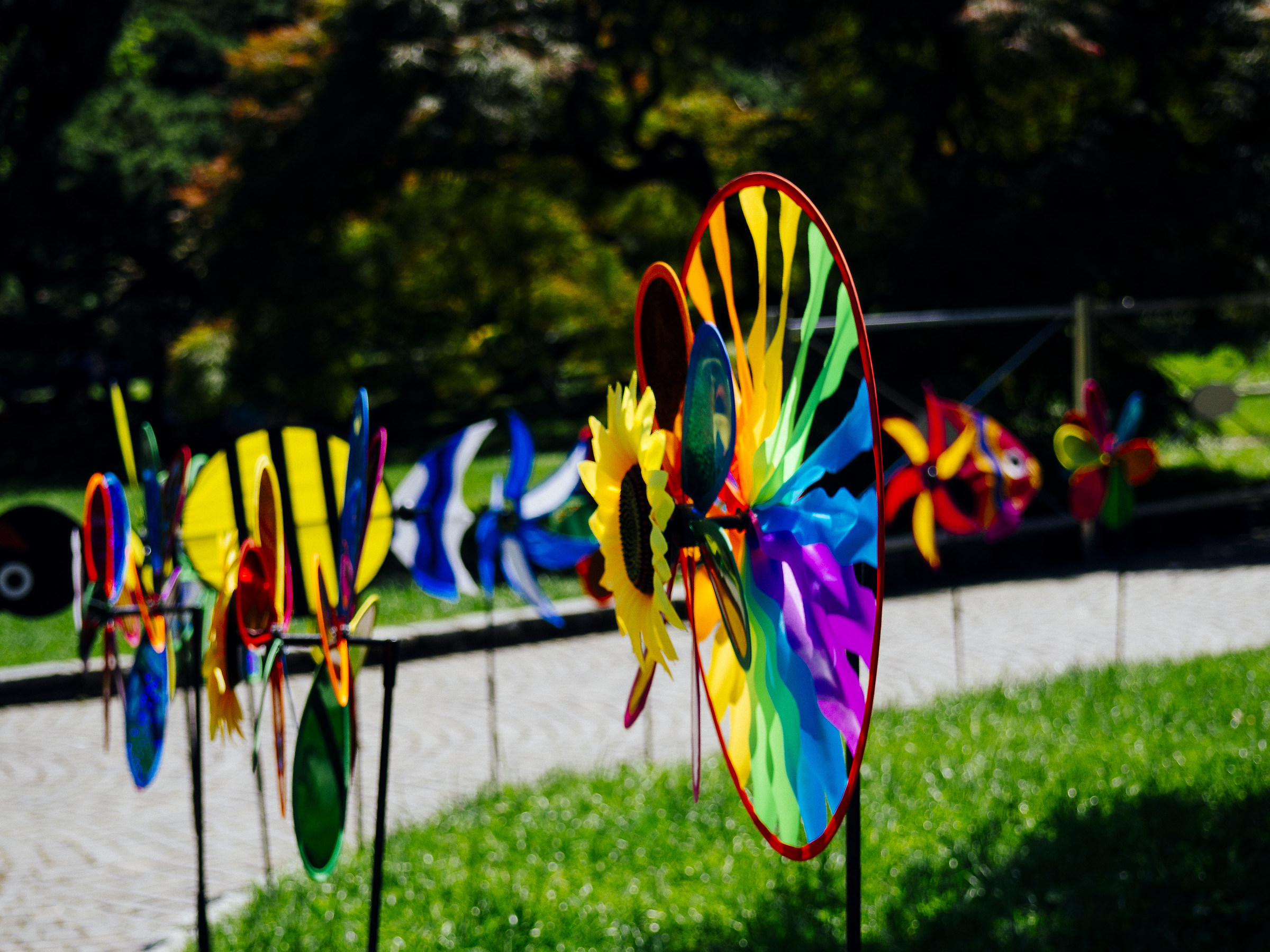 pinwheels