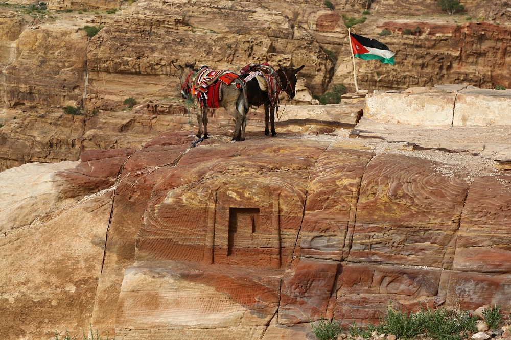 Also up here photographing there, I am exhausted