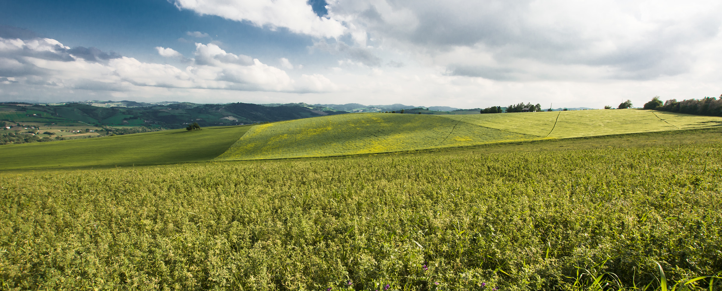 Colline Romagnole: i colori della primavera