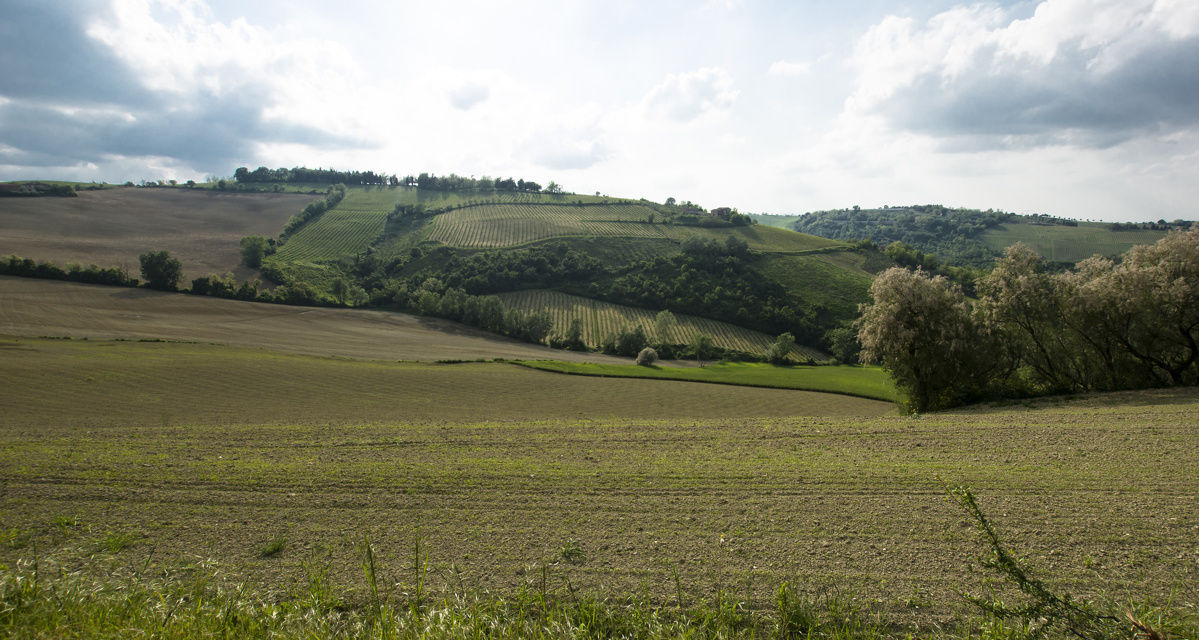 Colline Romagnole: M.te Poggiolo