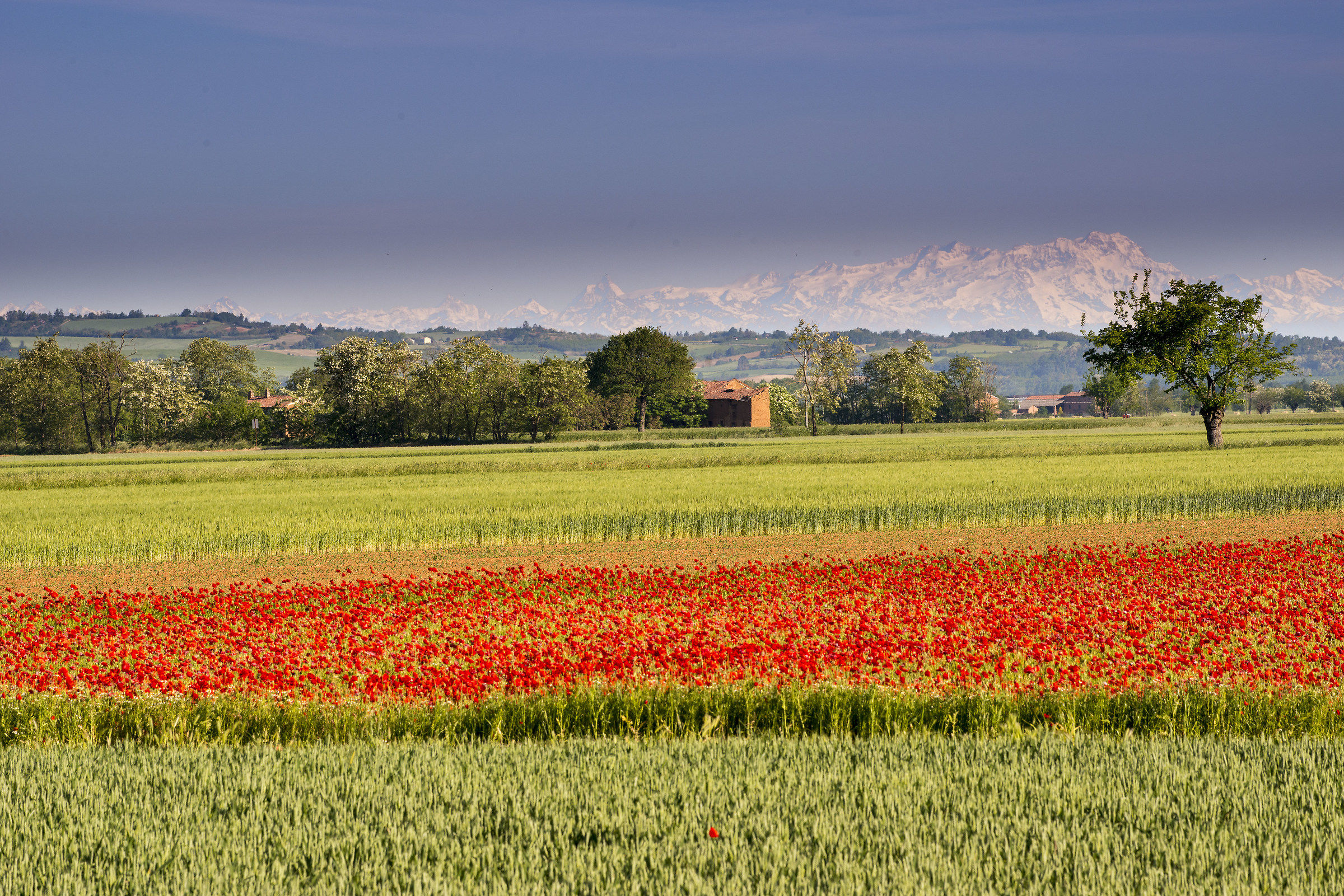 Pennellate di colore!