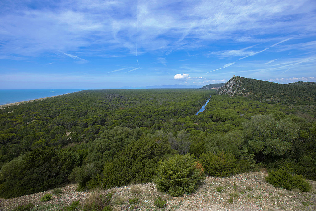 Natural Park of Maremma 2