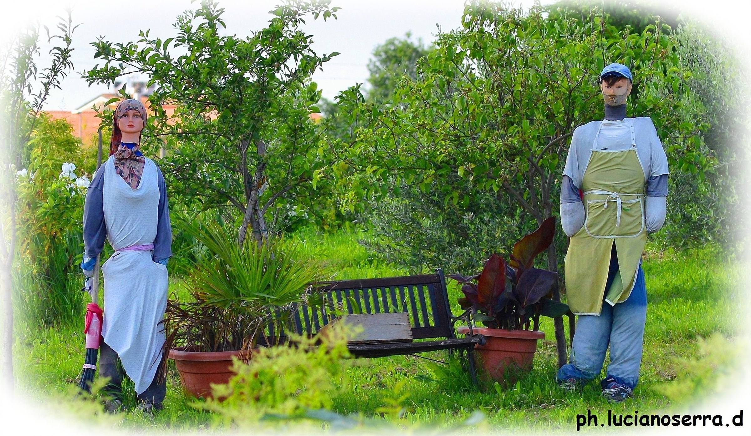 The cousins ??... Scarecrows