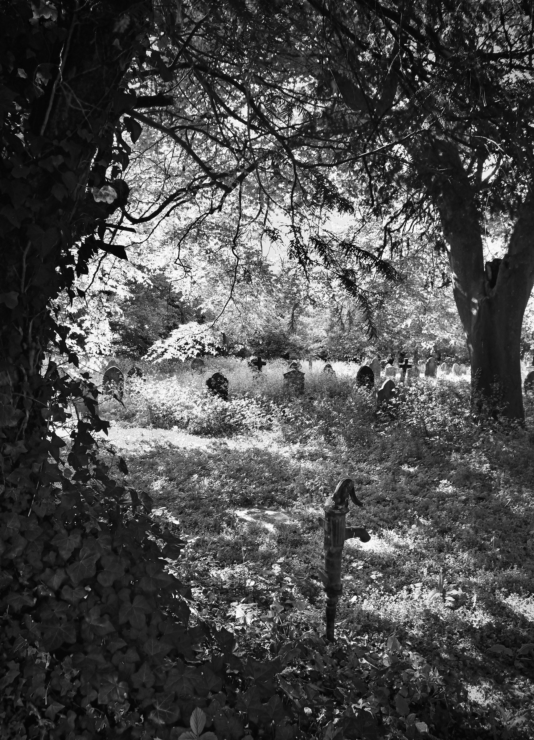Vecchia pompa ad acqua, Cimitero Coperto di vegetazione