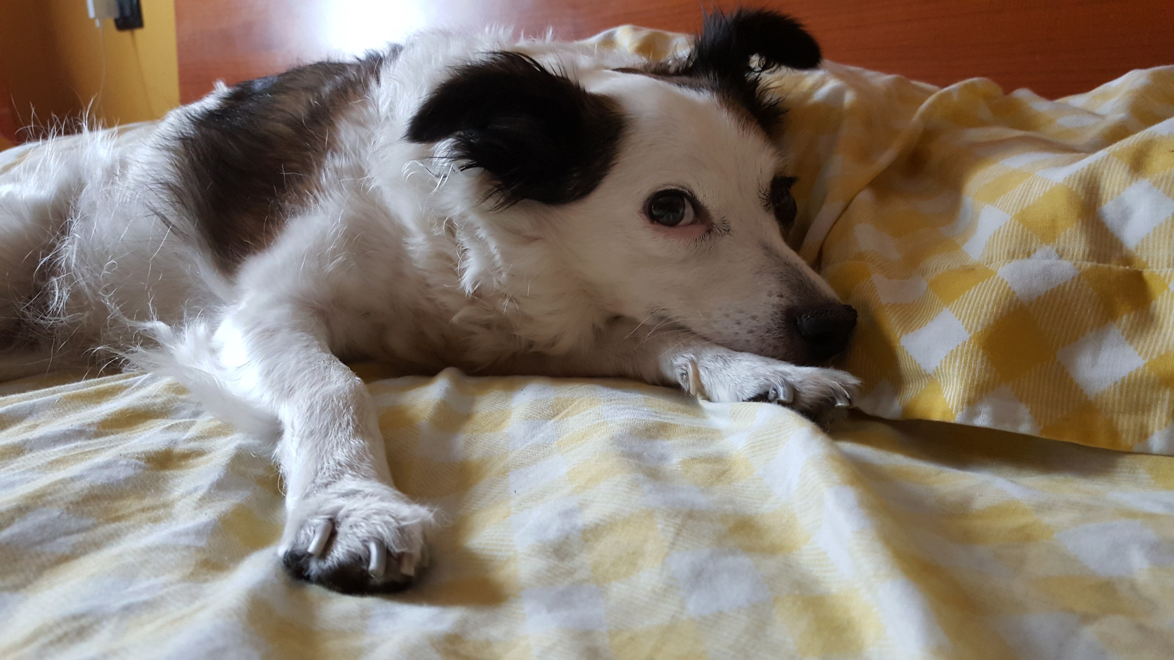 Good morning everyone, but it's time?