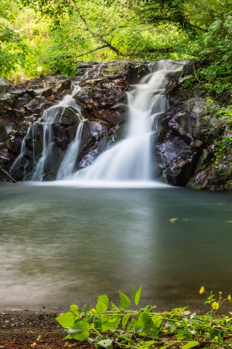 Parco di Turona - Bolsena
