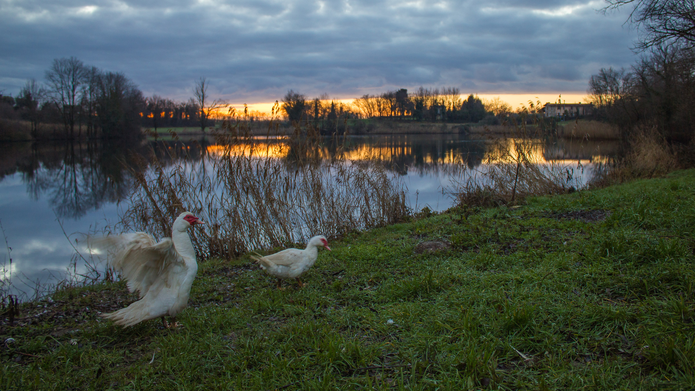 Alba at the Lakes of Sovenigo - Scuderia Ca d'Abra