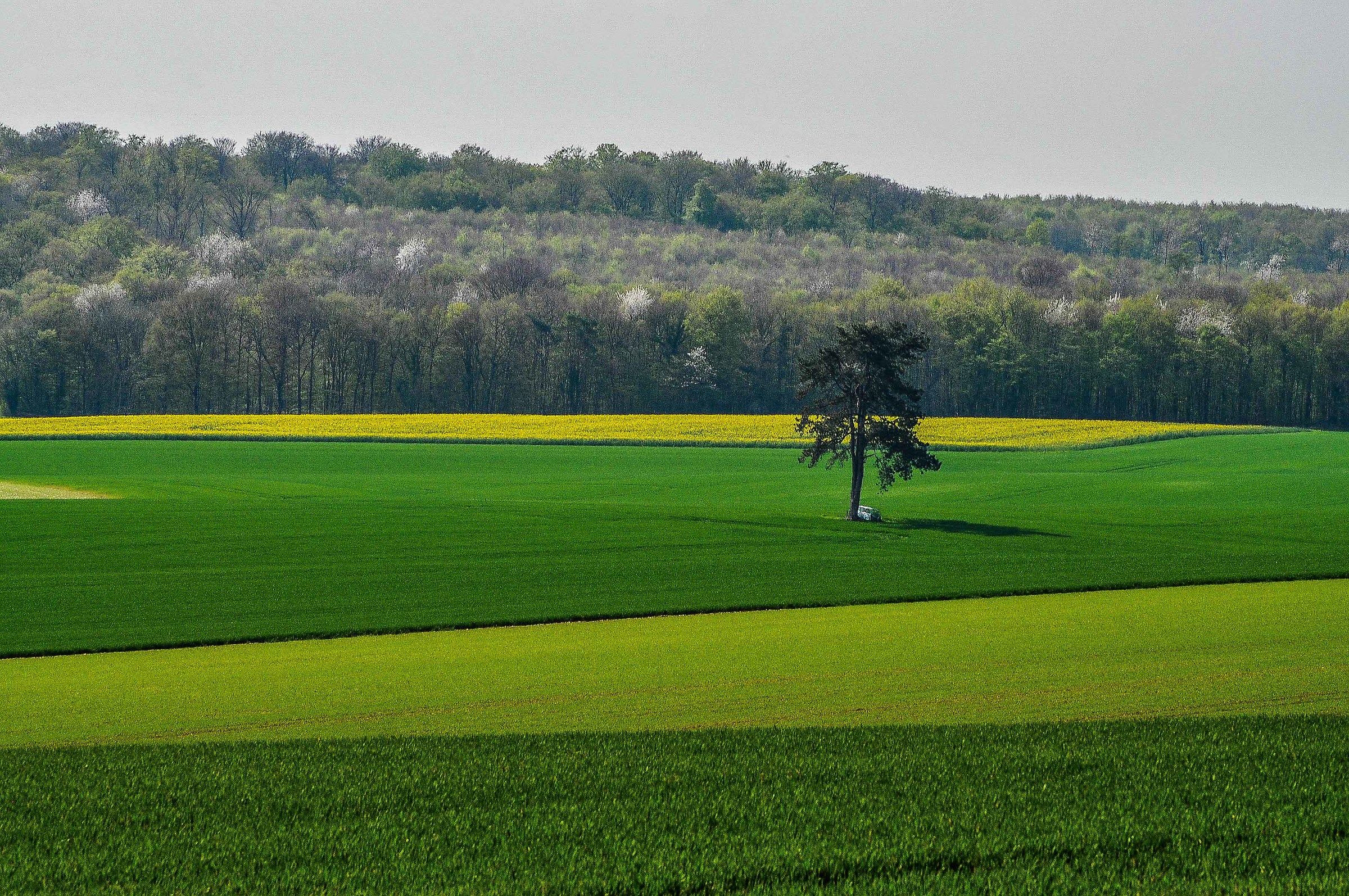 the Champagne region of France
