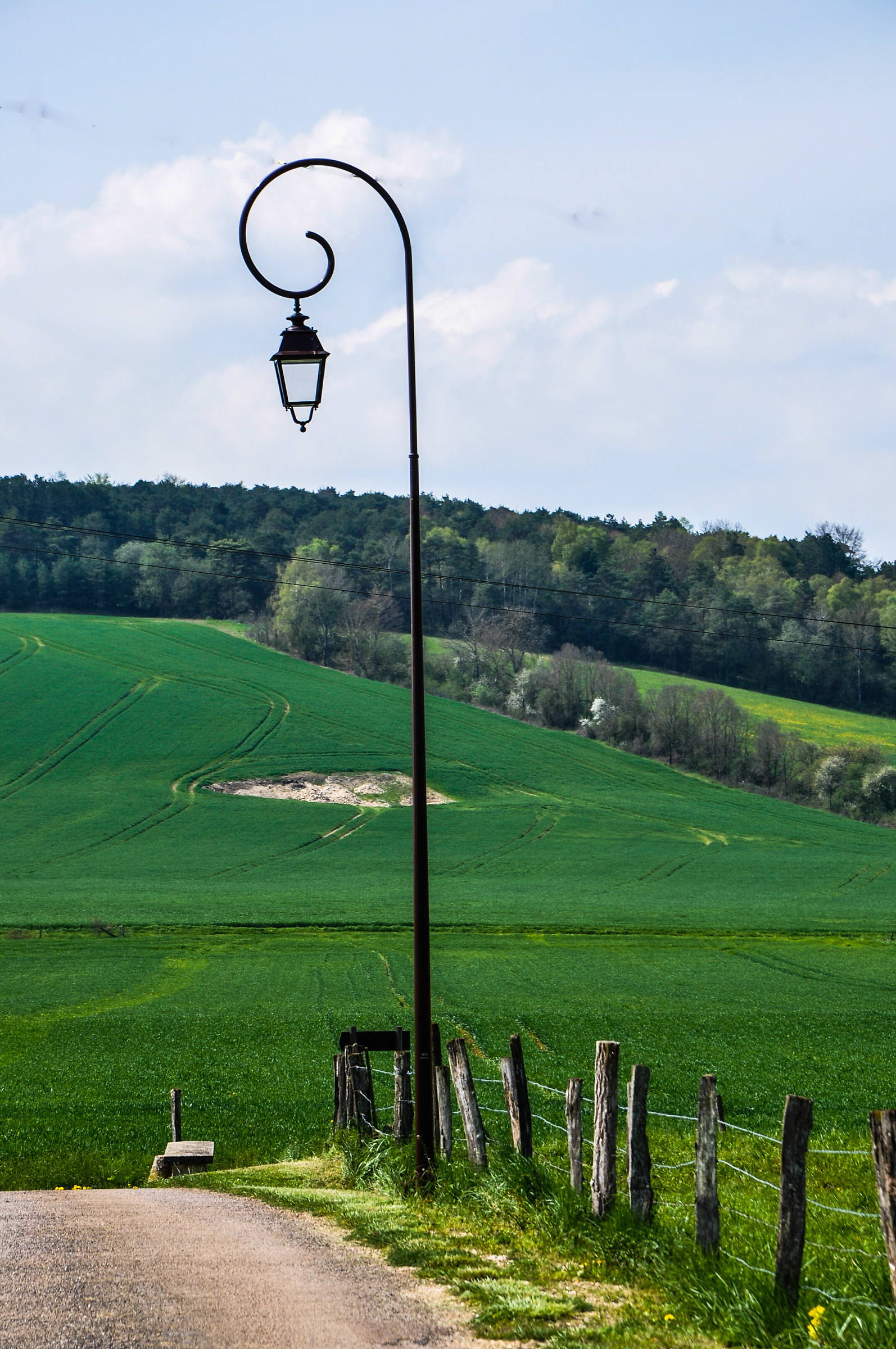 the Champagne region of France